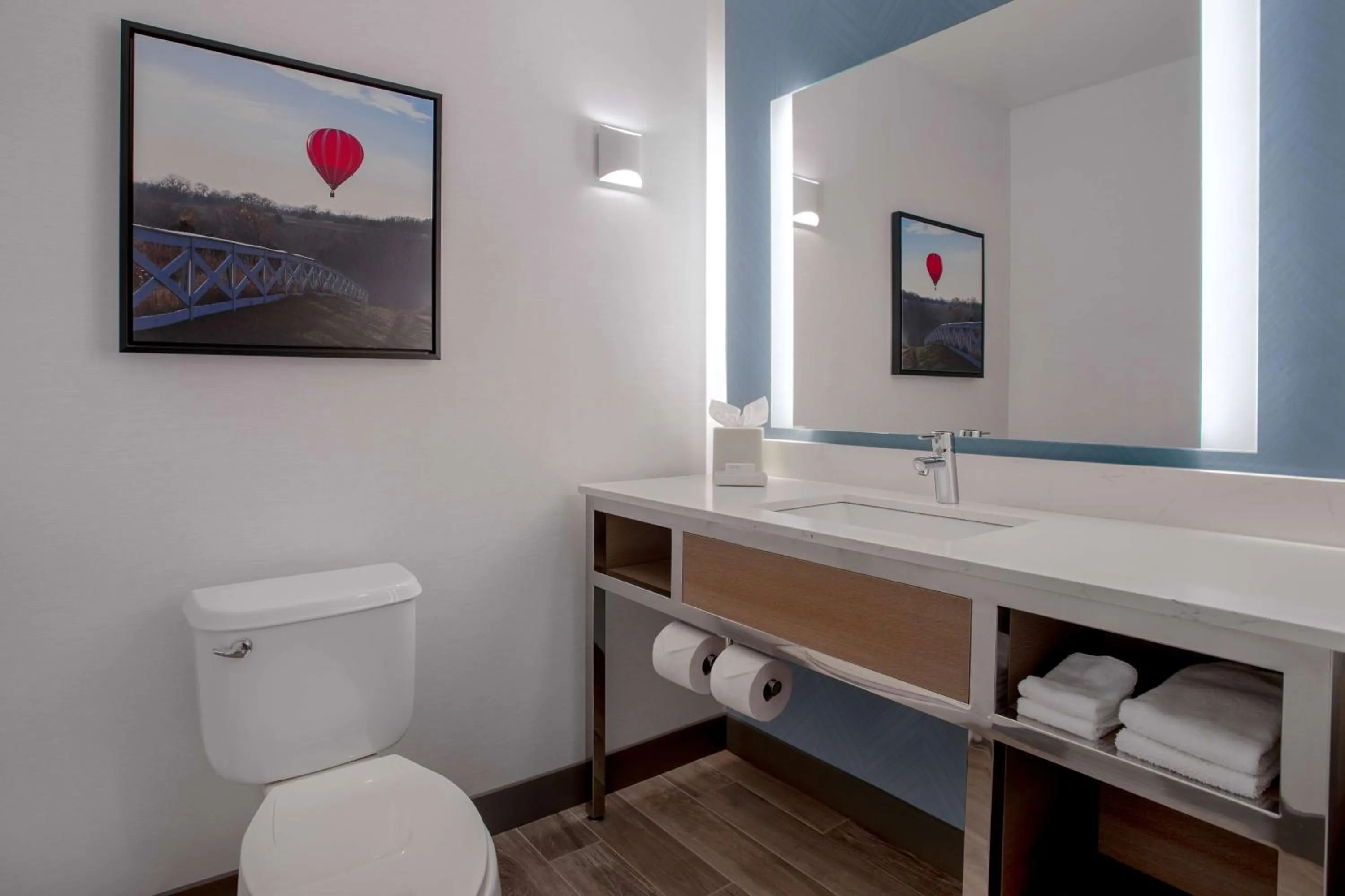 Bathroom in Hilton Garden Inn Omaha West