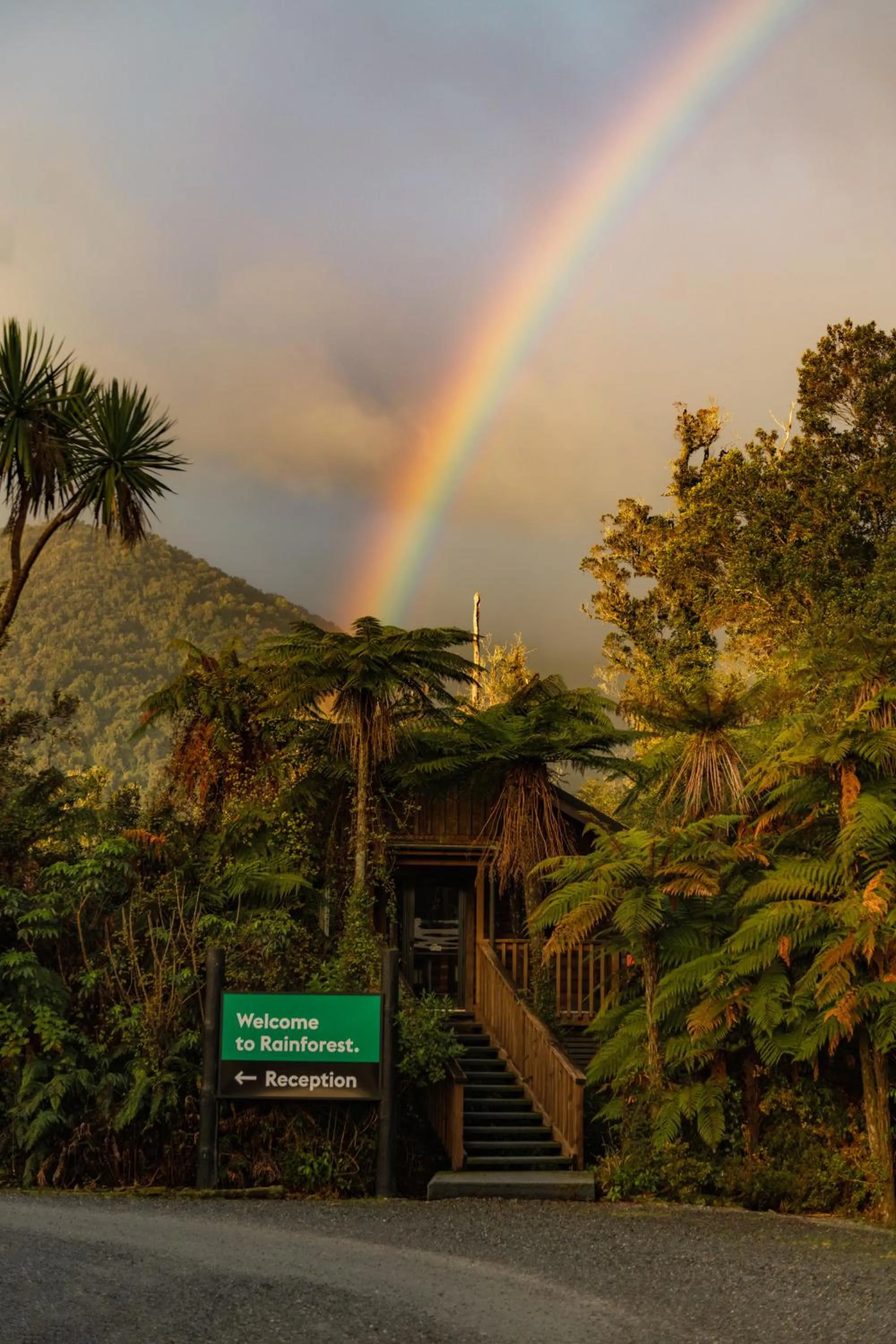 View (from property/room) in Rainforest Retreat