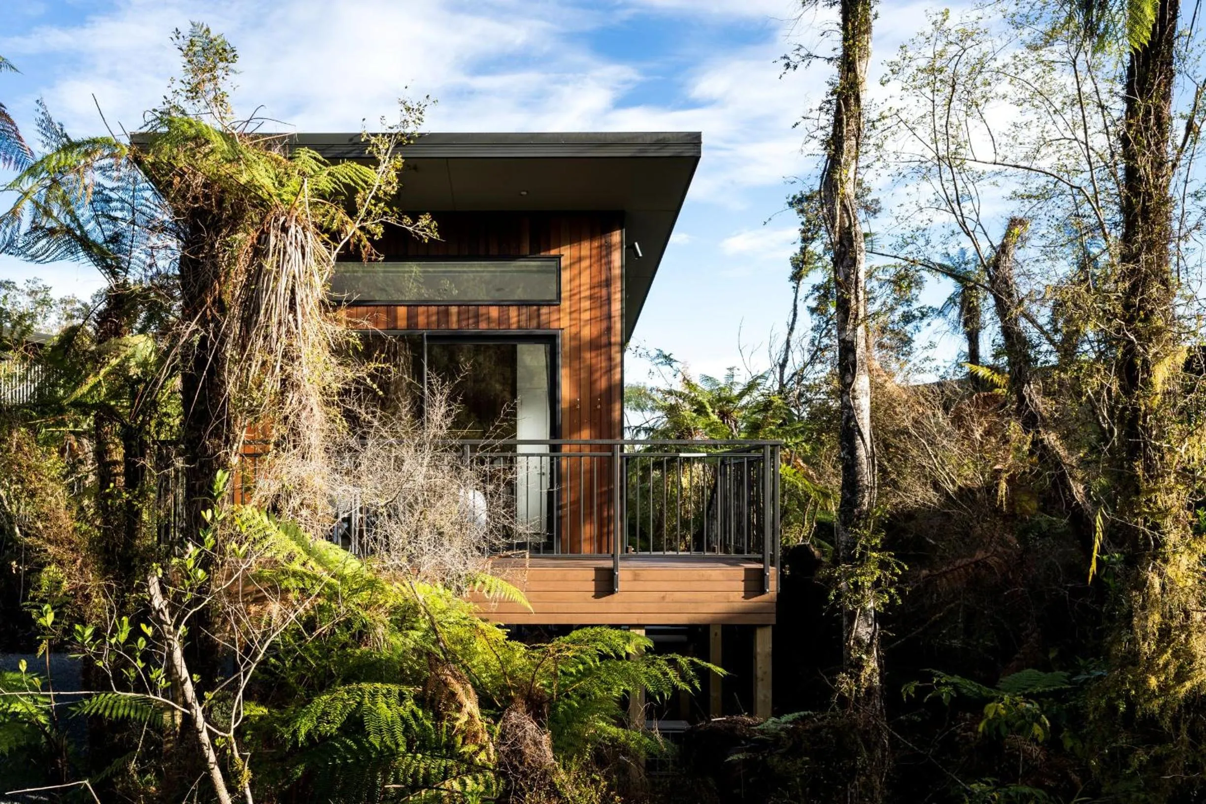 Rainforest Retreat