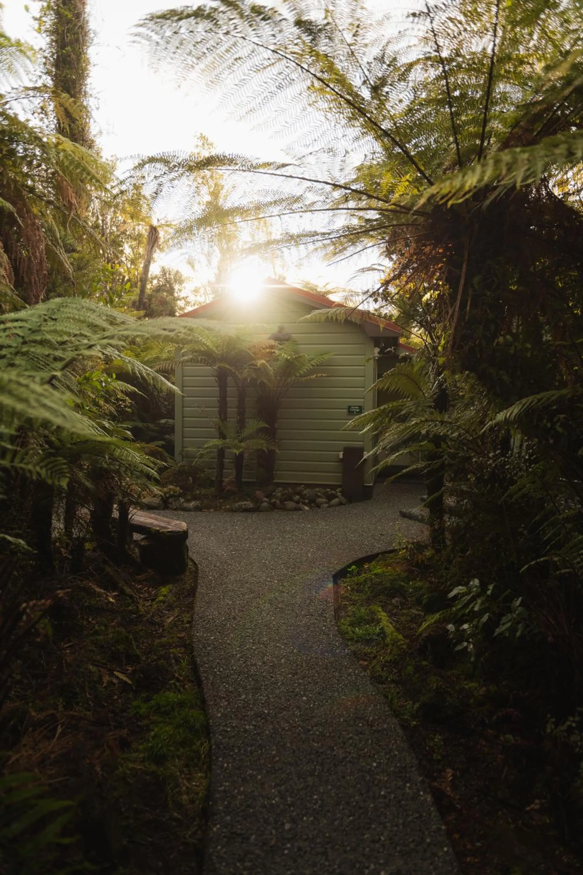Garden in Rainforest Retreat