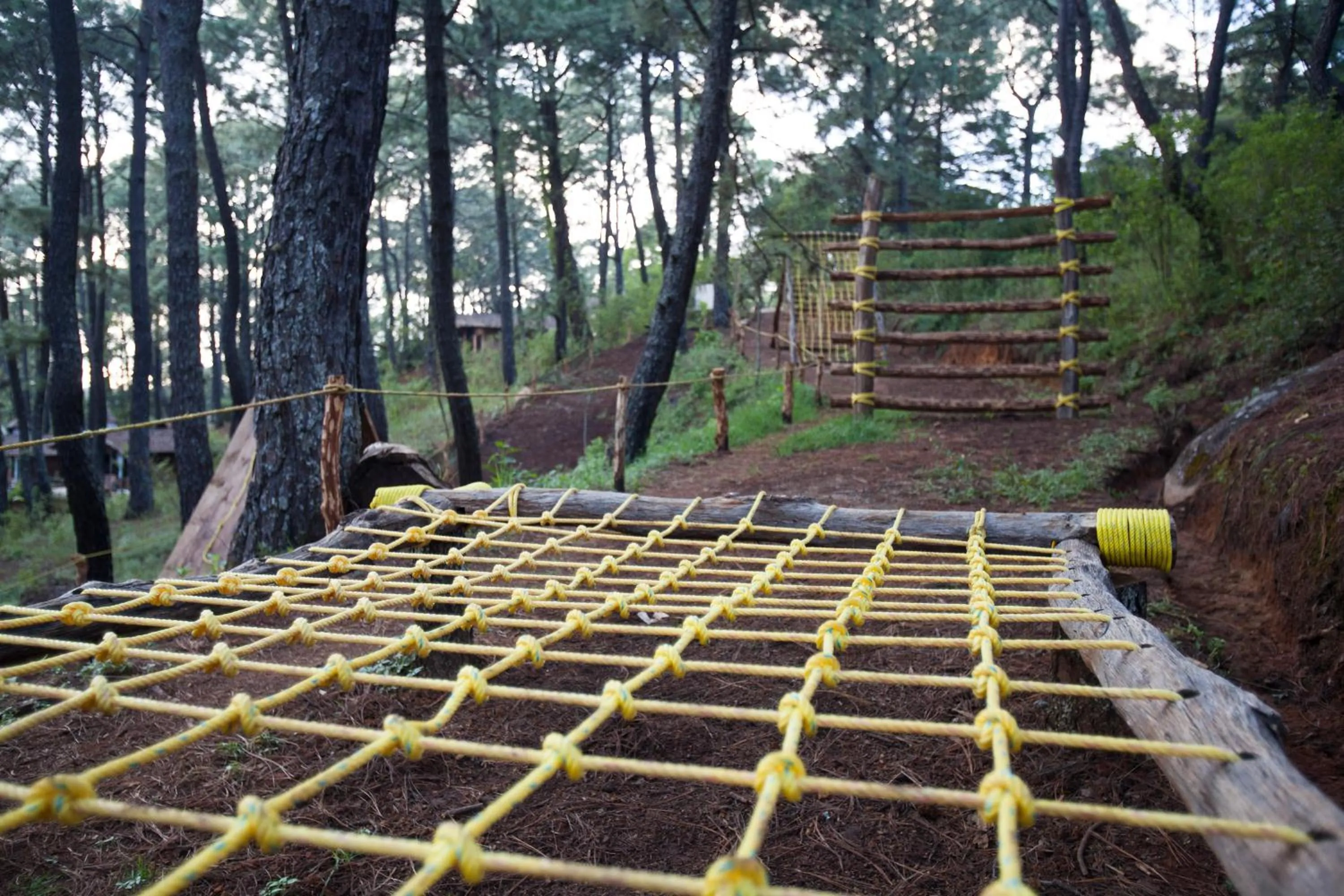 Activities in Monteverde