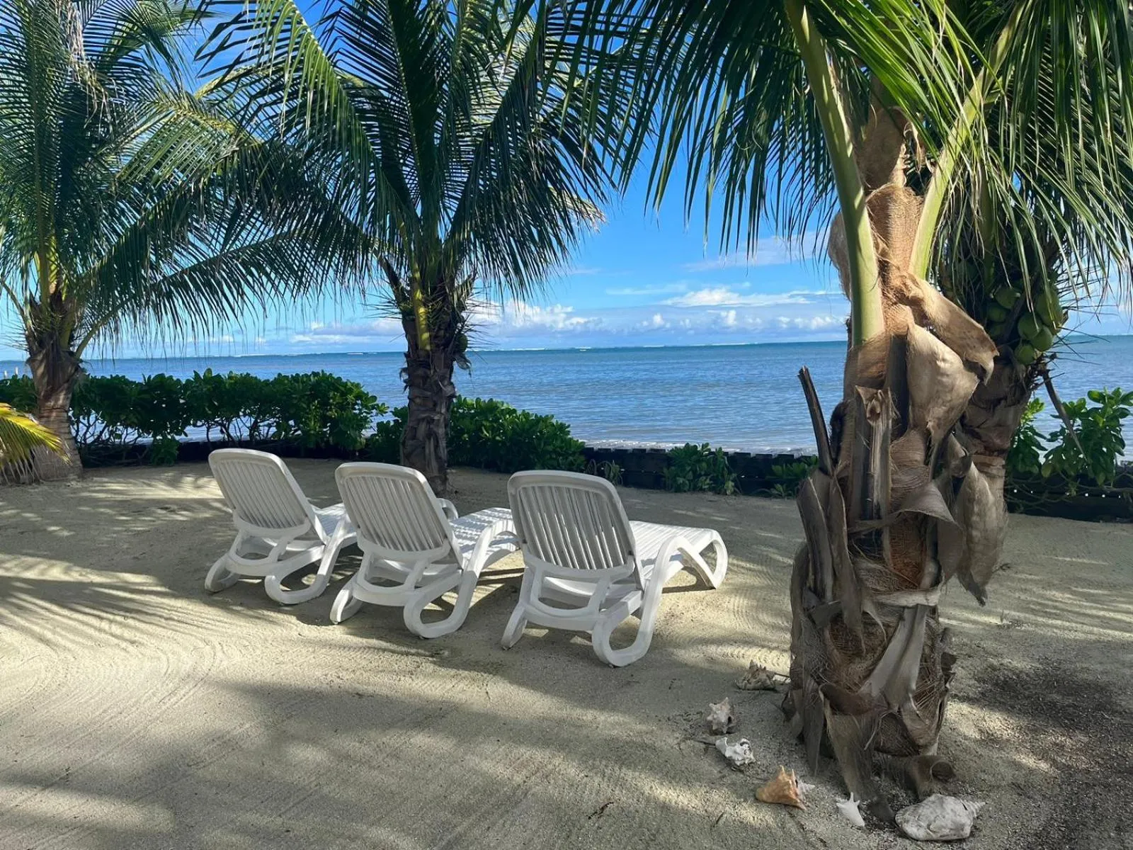 Natural landscape in Captain Morgan's Retreat