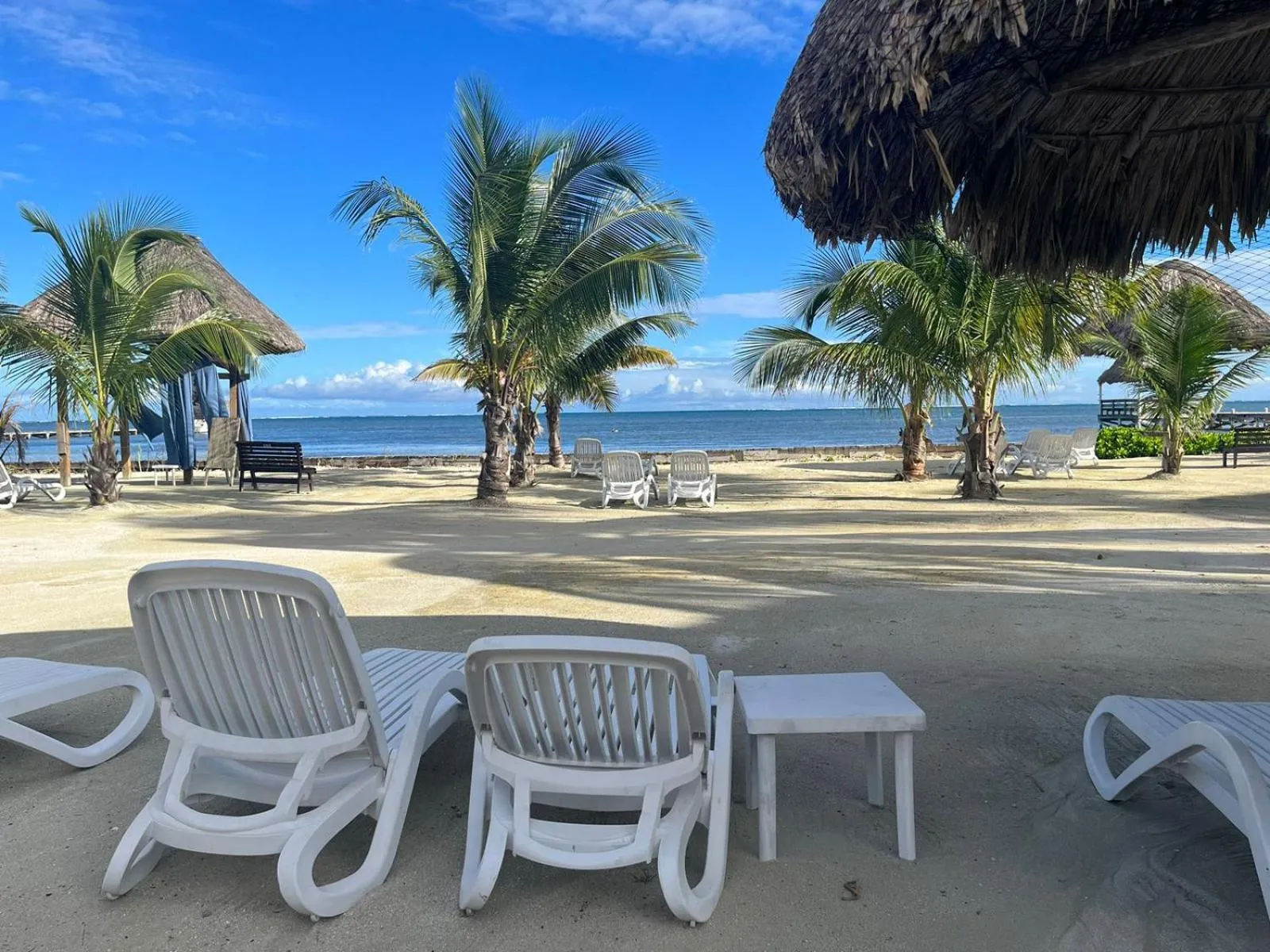 Natural landscape in Captain Morgan's Retreat