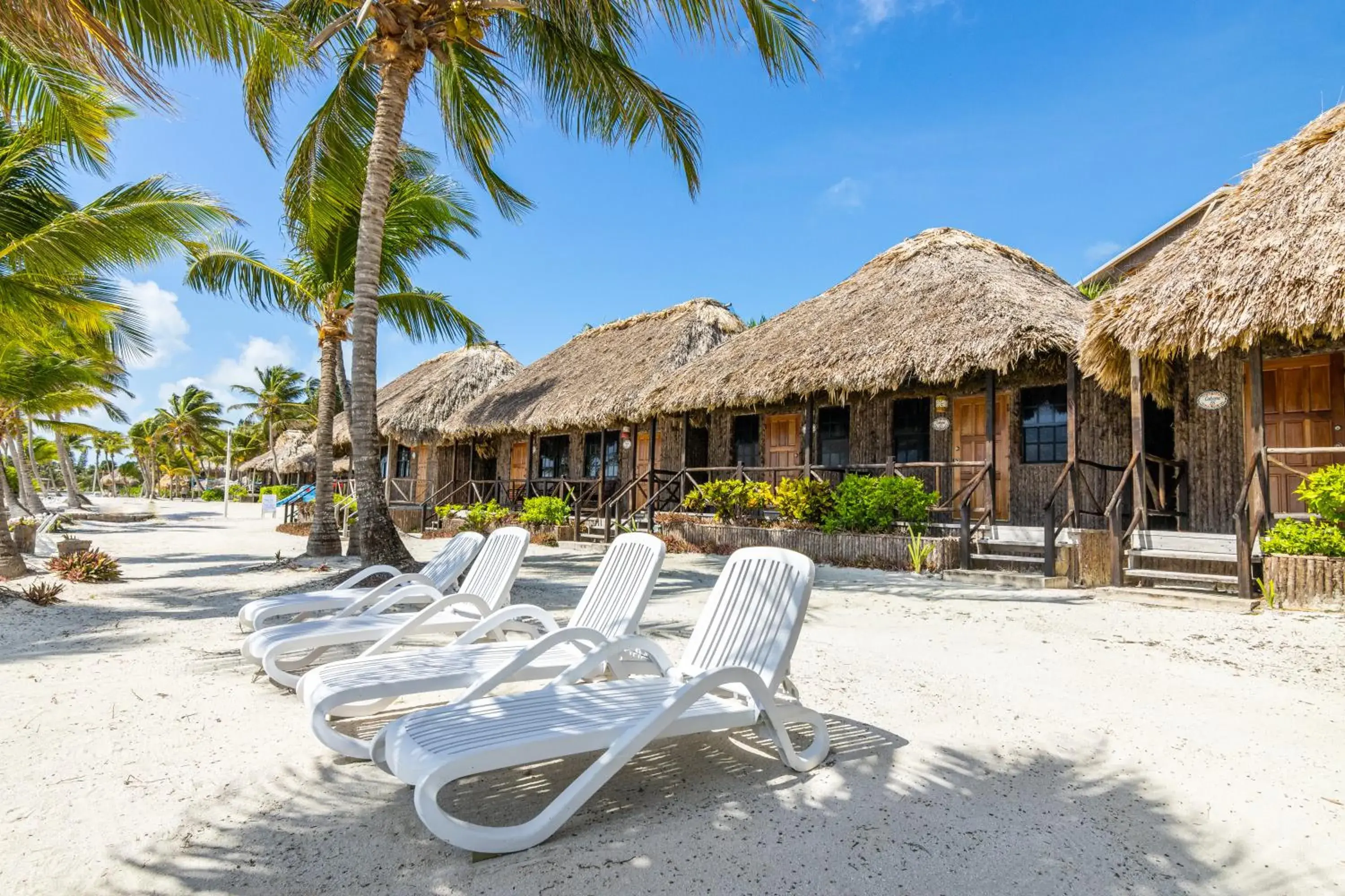 Captain Morgan's Retreat Captain Morgan's Retreat