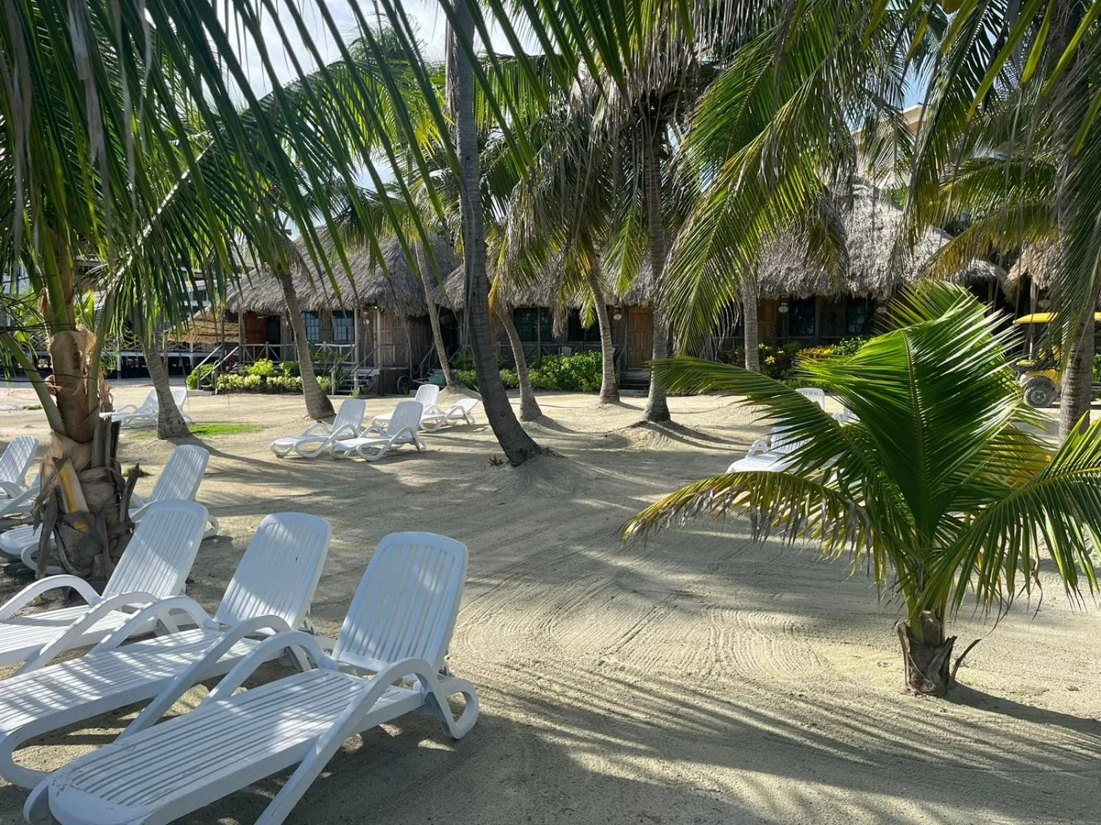 Garden in Captain Morgan's Retreat