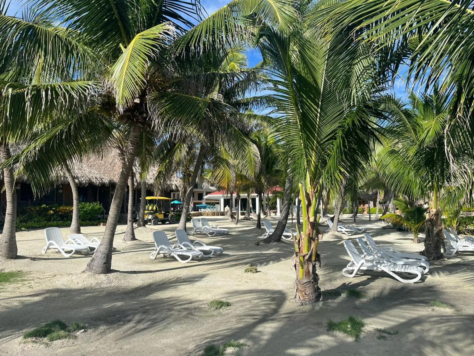 Natural landscape in Captain Morgan's Retreat