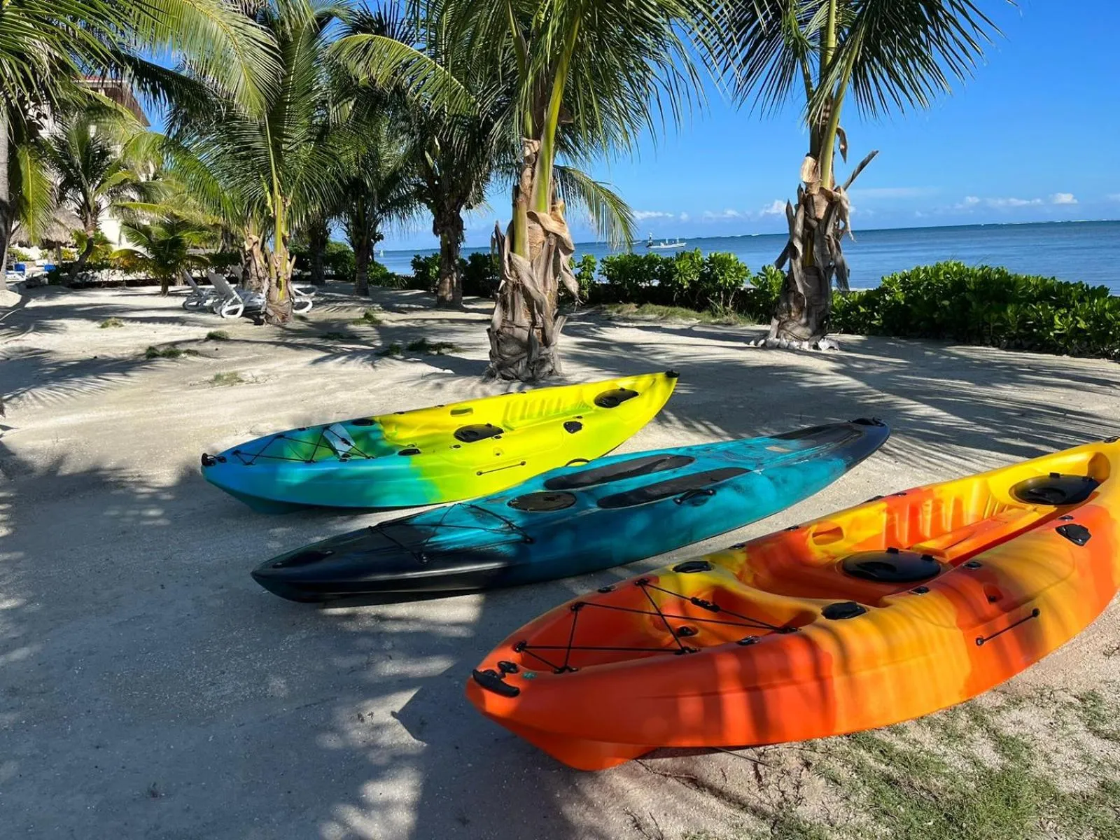 Natural landscape in Captain Morgan's Retreat