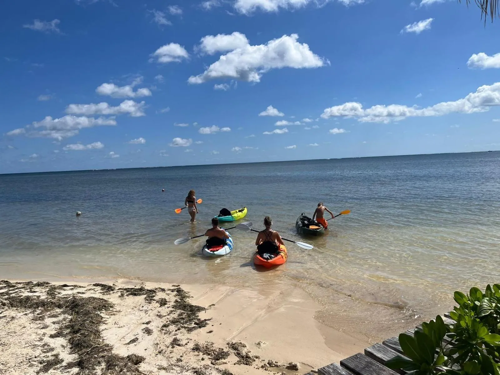 Natural landscape in Captain Morgan's Retreat