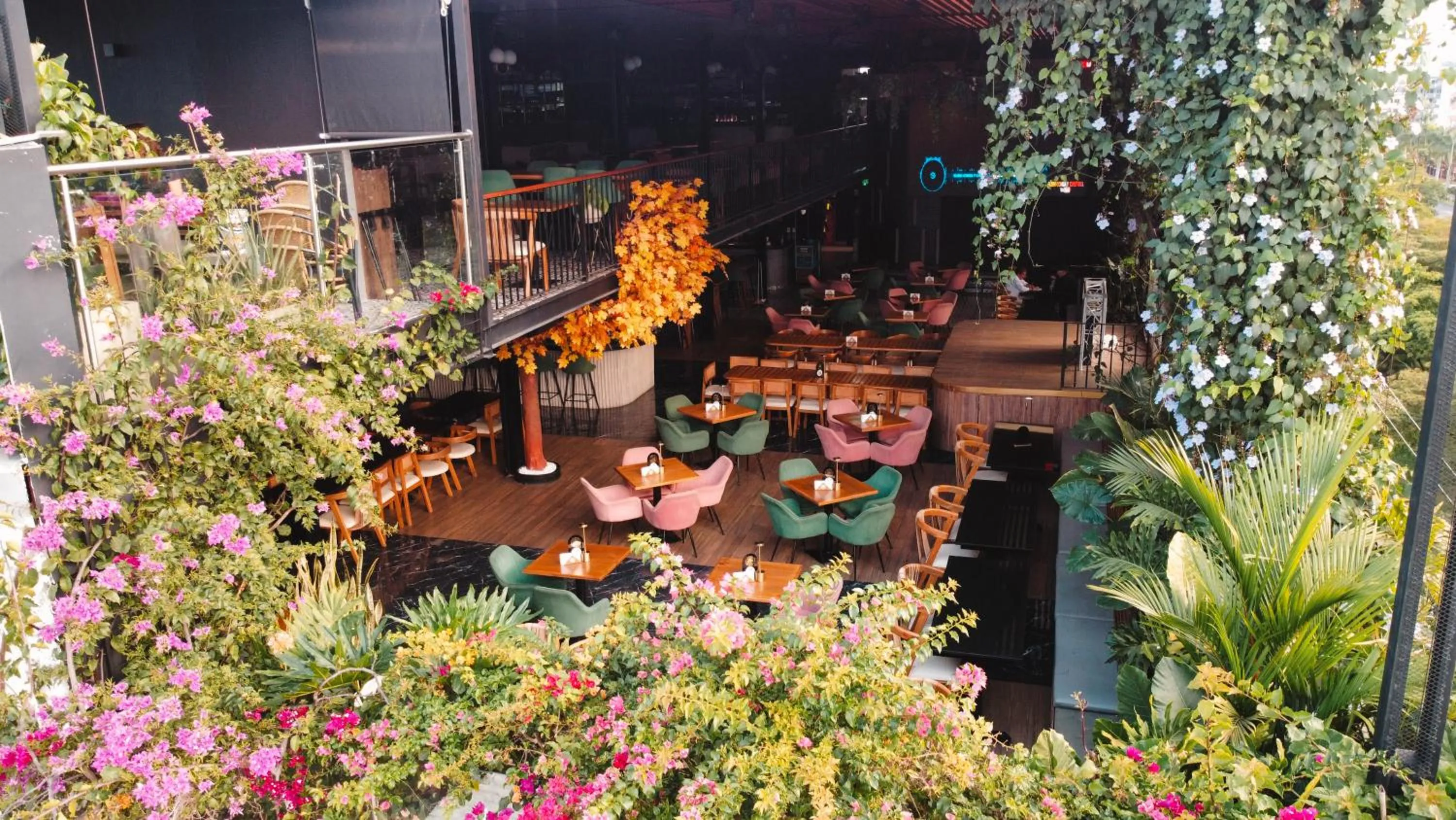 Restaurant/places to eat in Hotel Plaza del Lili