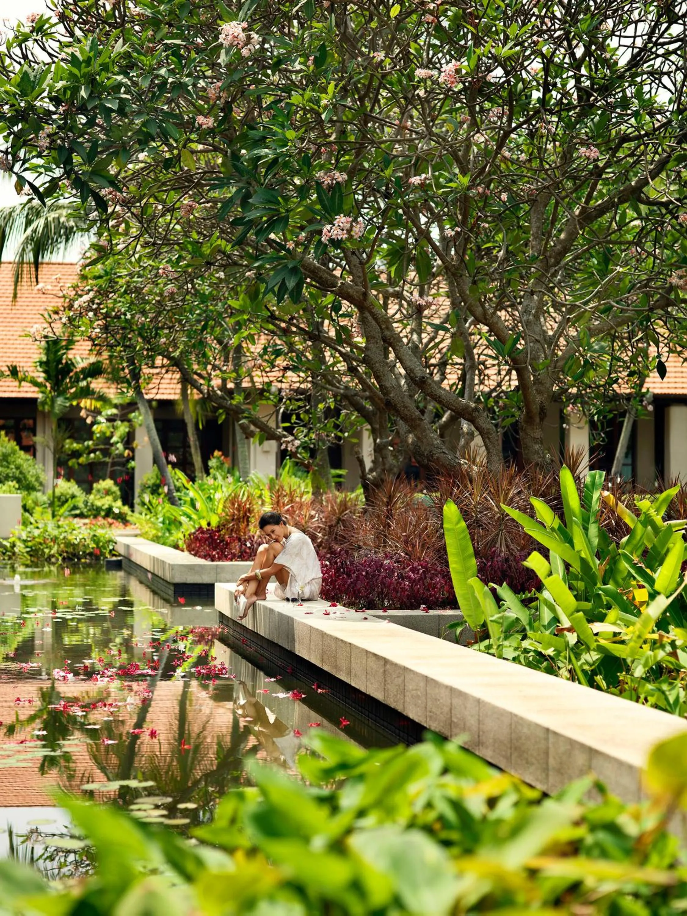 Garden in Sofitel Singapore Sentosa