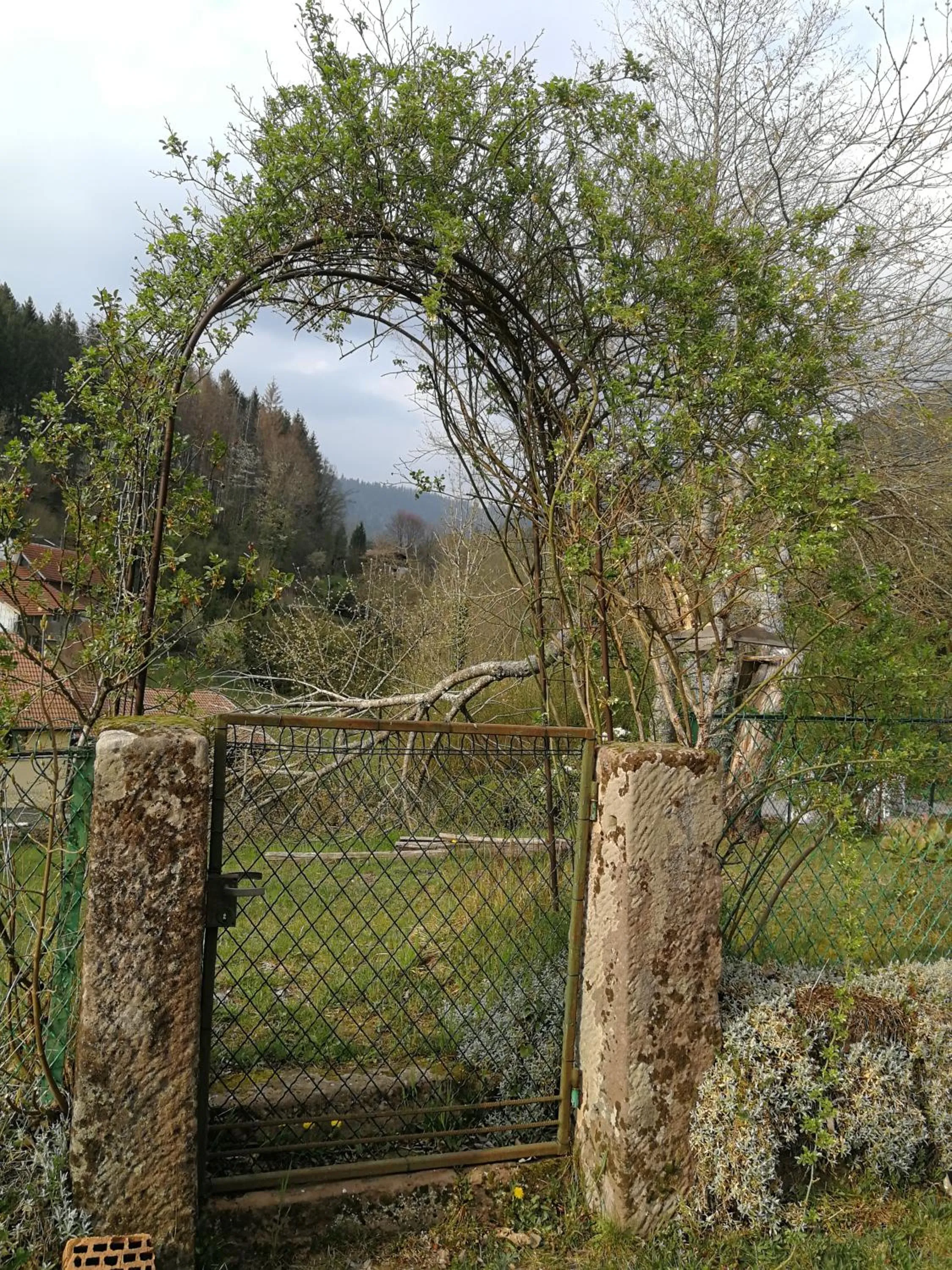 Natural landscape in La maison du vannier