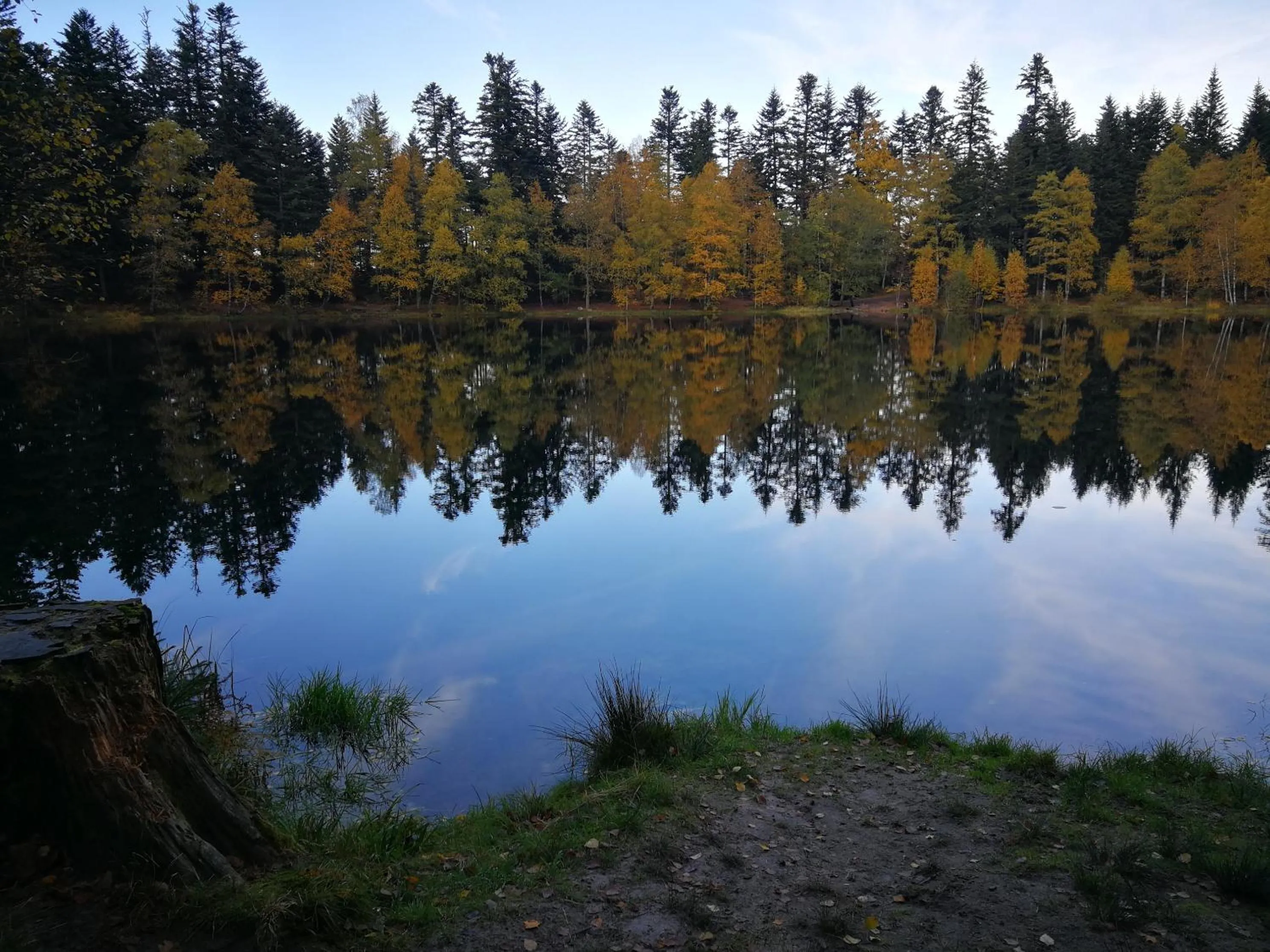 Natural landscape in La maison du vannier