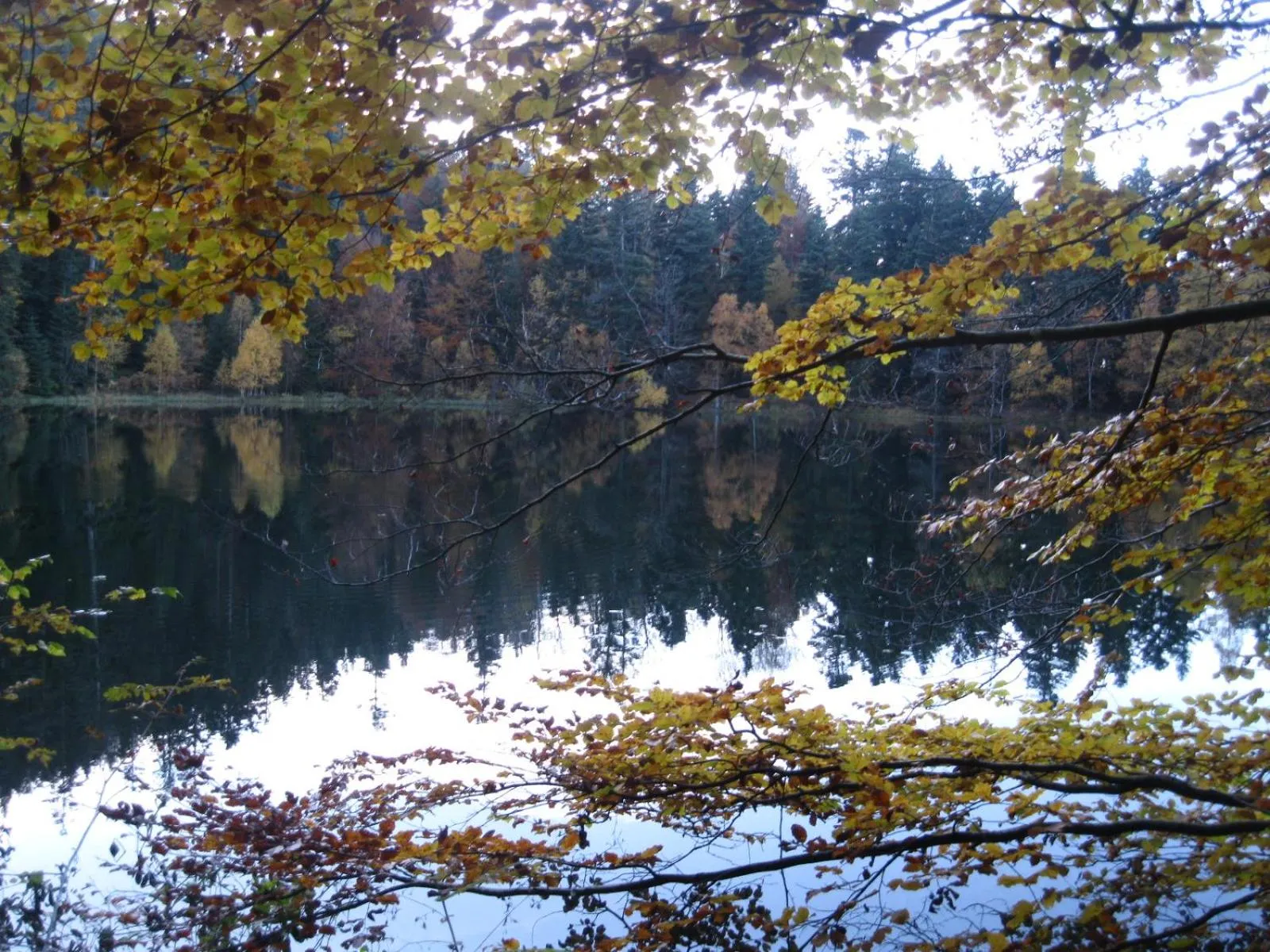 Natural landscape in La maison du vannier