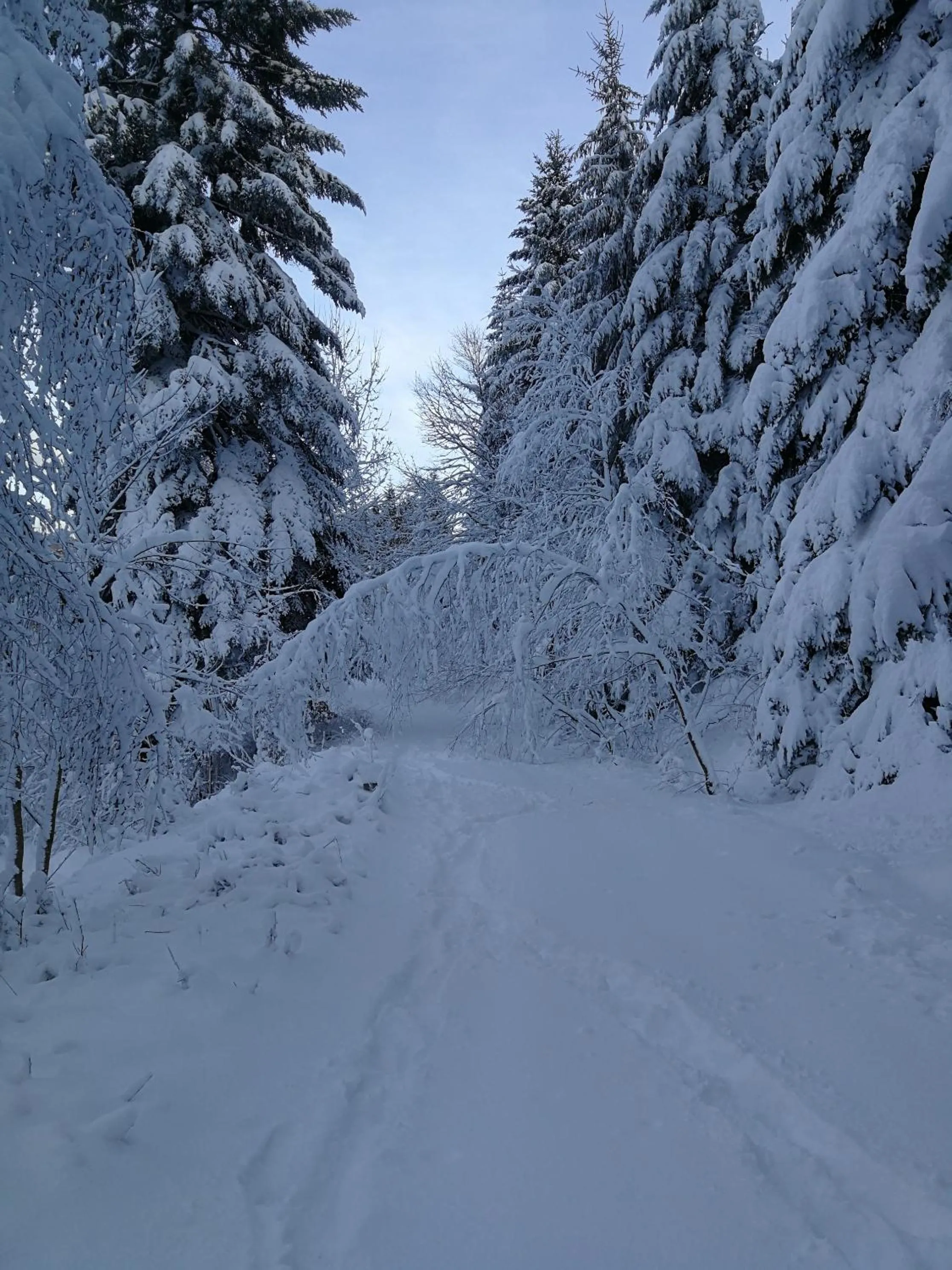 Natural landscape in La maison du vannier
