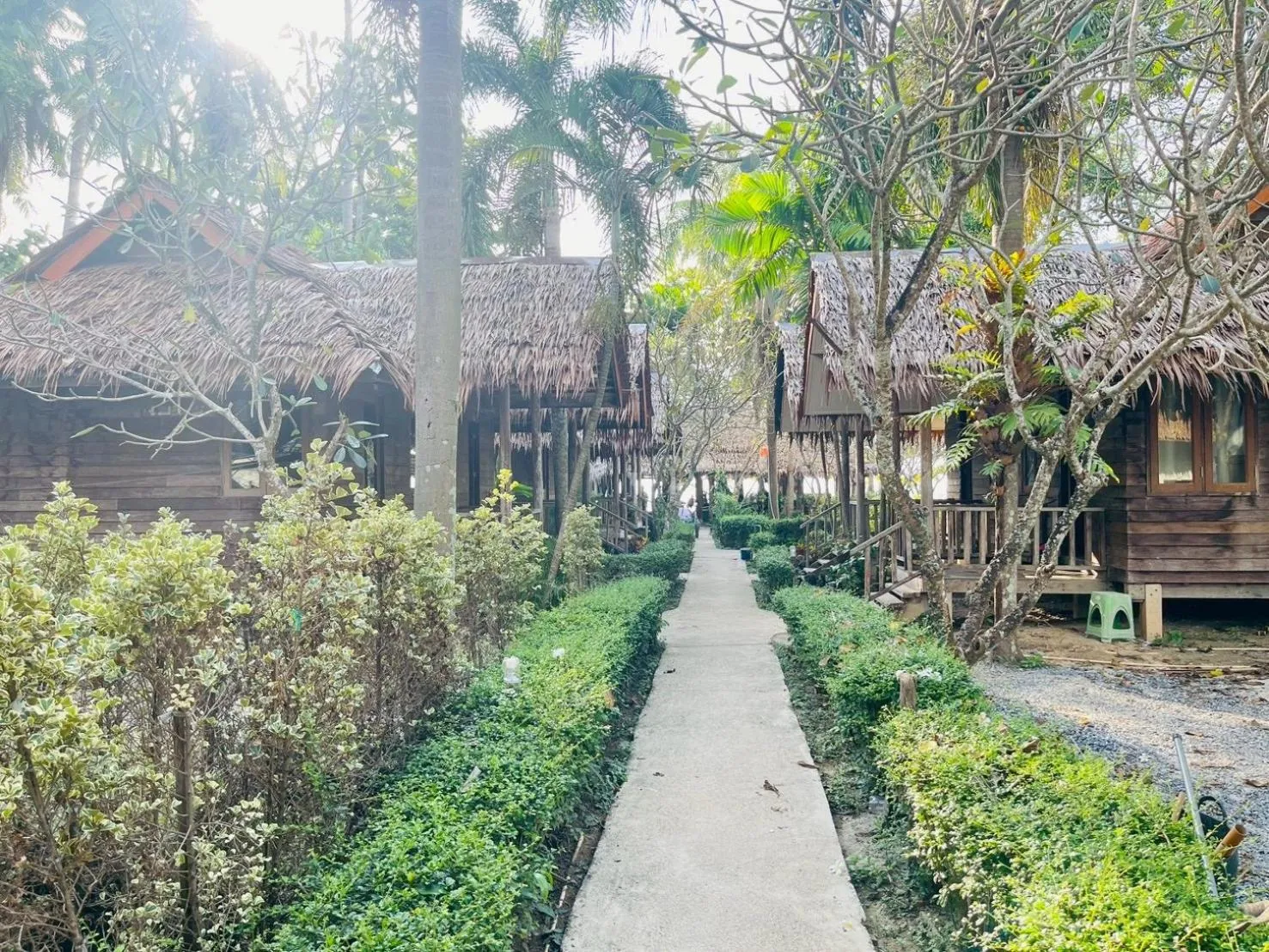 New Ozone Resort & Spa