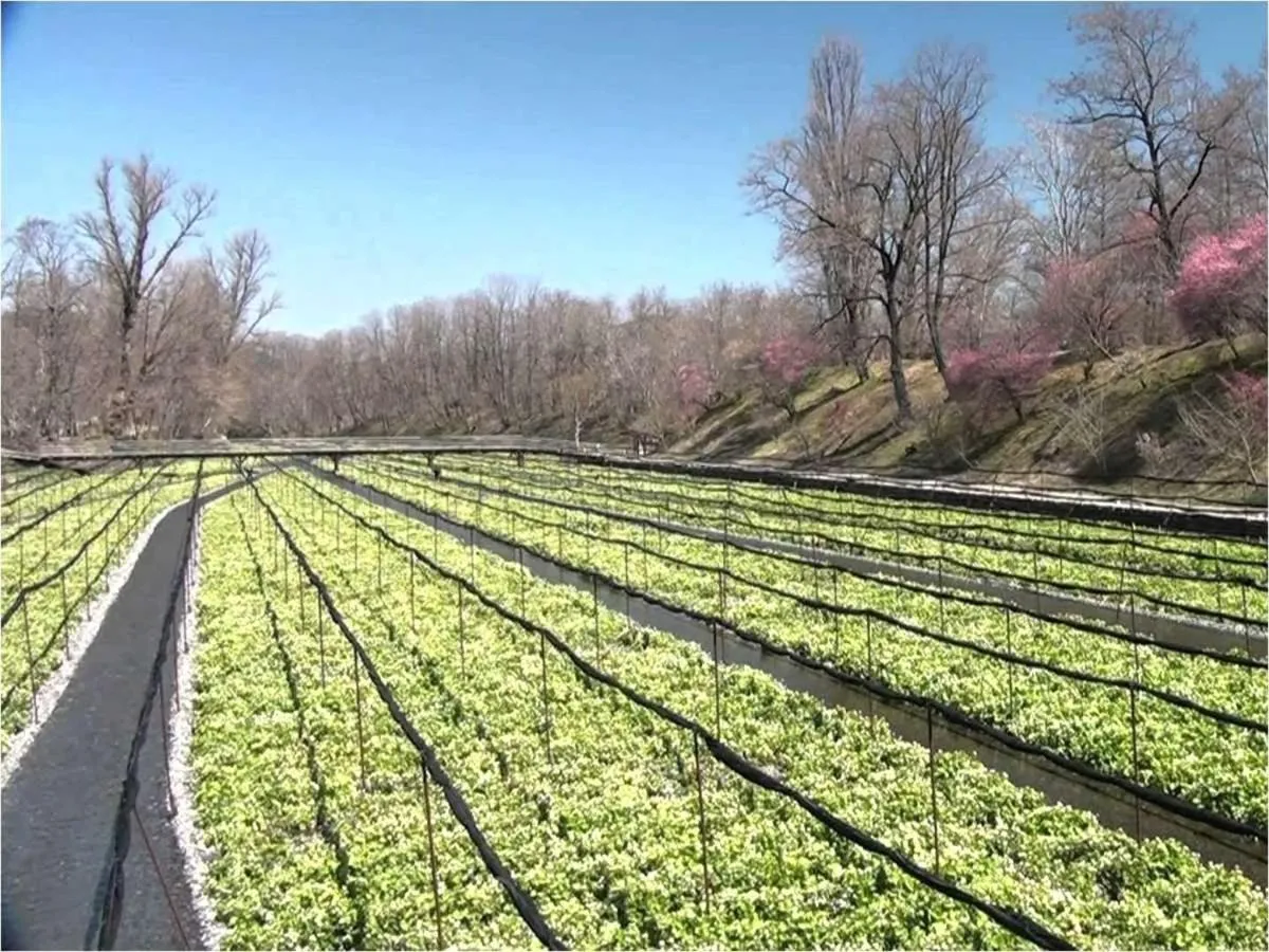 Azumino Hotaka View Hotel