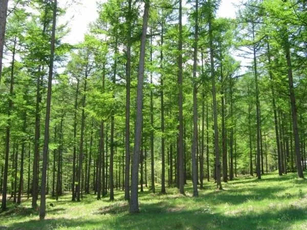 Day in Azumino Hotaka View Hotel