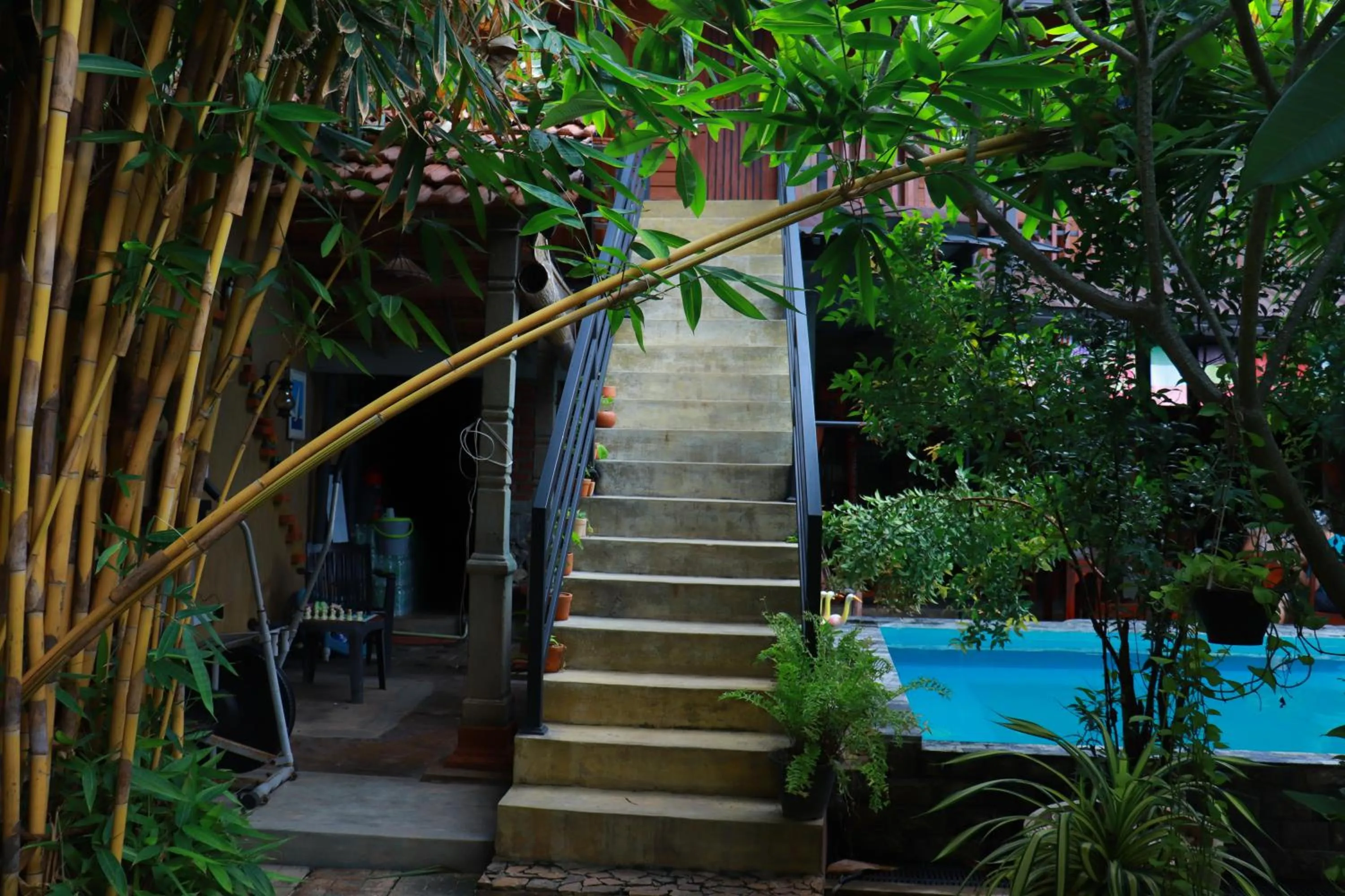 Property building in Negombo The Nature Villa and Cabanas