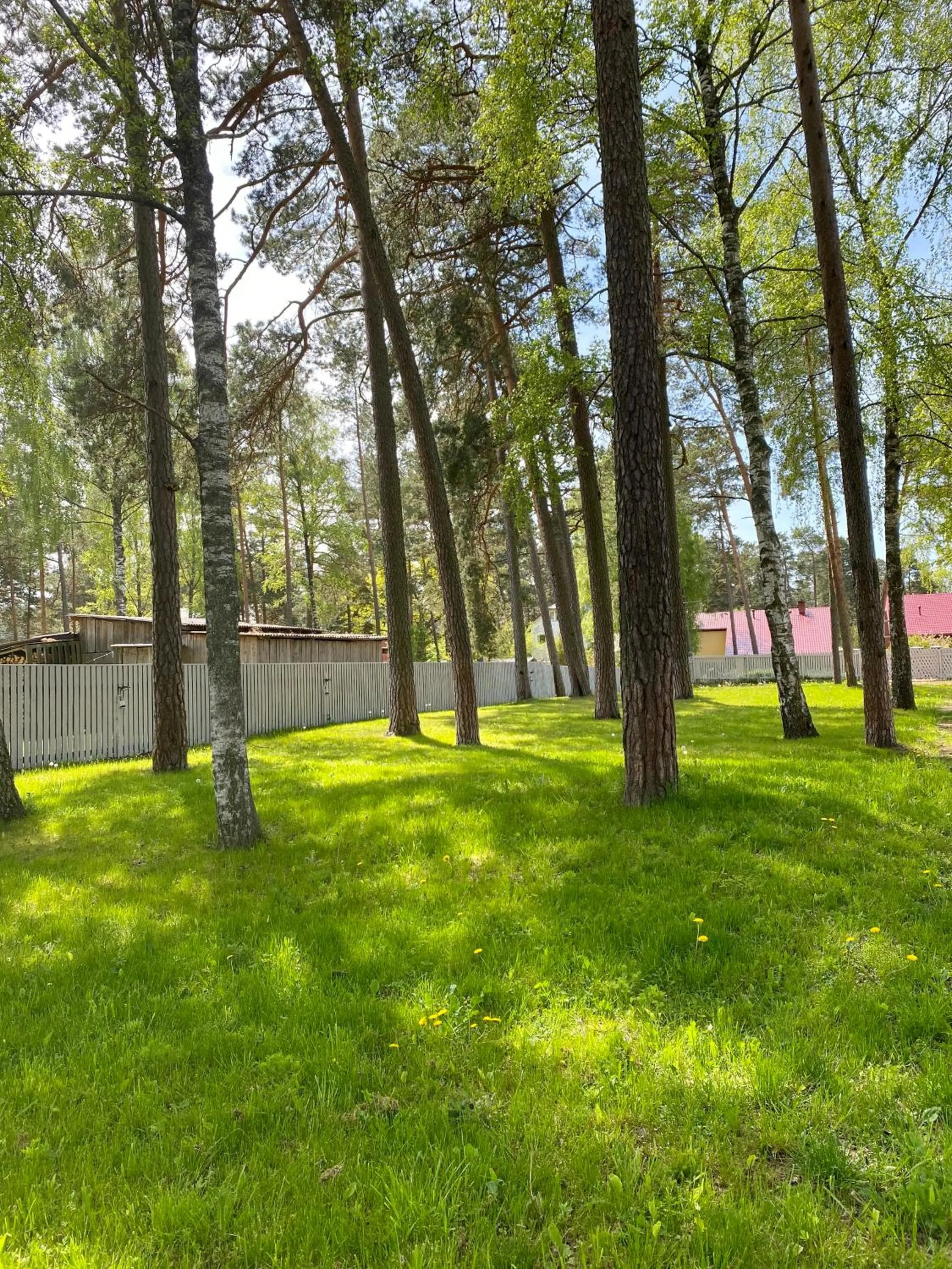 Other in Pine Resort