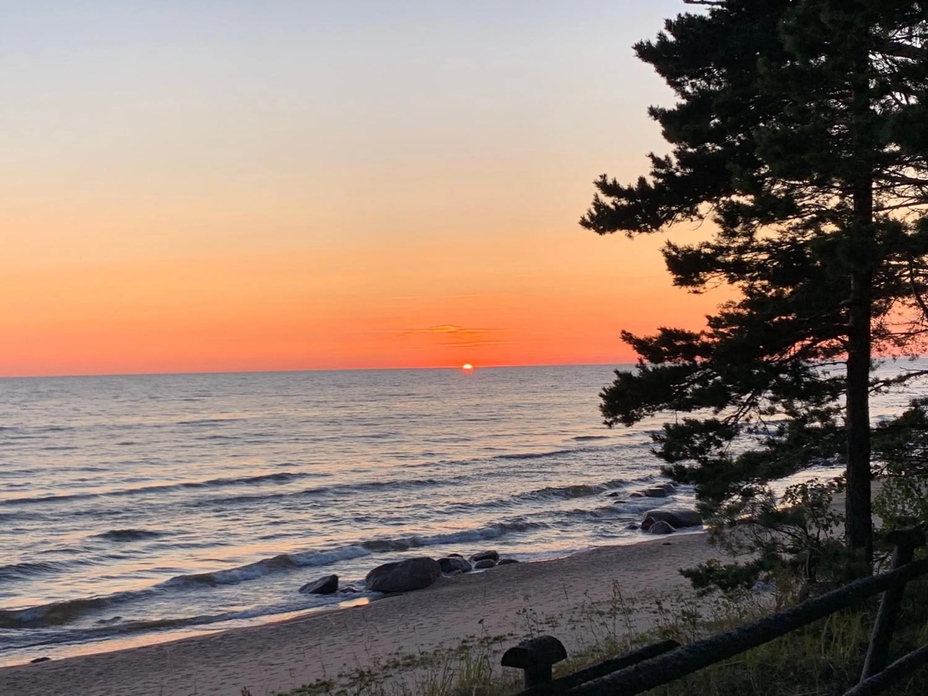 Natural landscape in Pine Resort