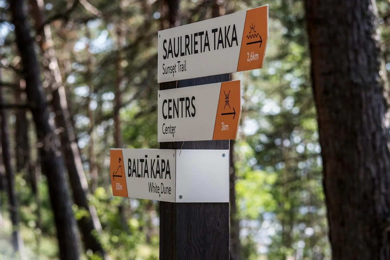 Beach in Pine Resort