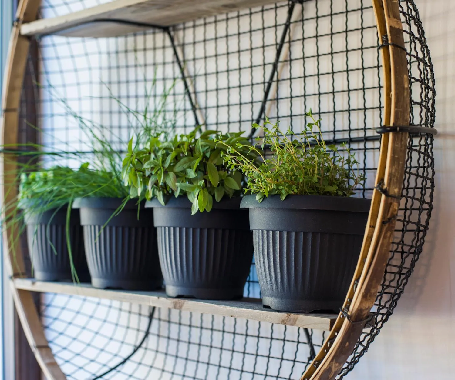 Restaurant/places to eat in Pine Resort