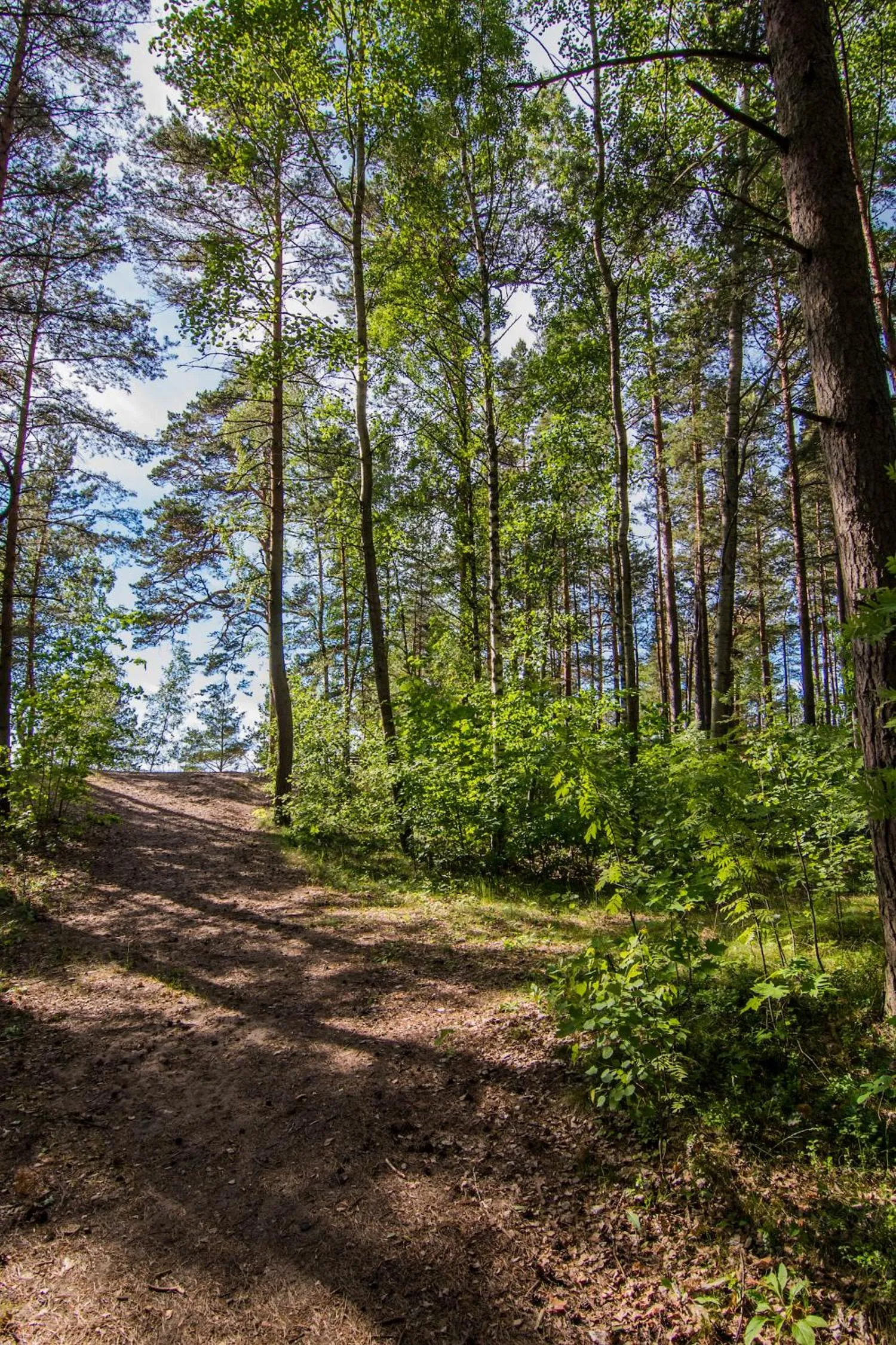 Nearby landmark in Pine Resort
