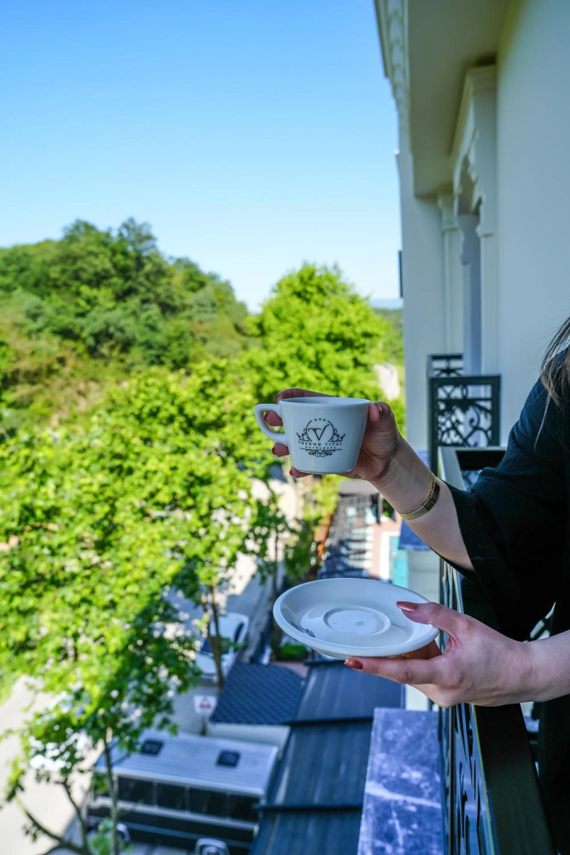 View (from property/room) in Vital Thermal Hotel & SPA