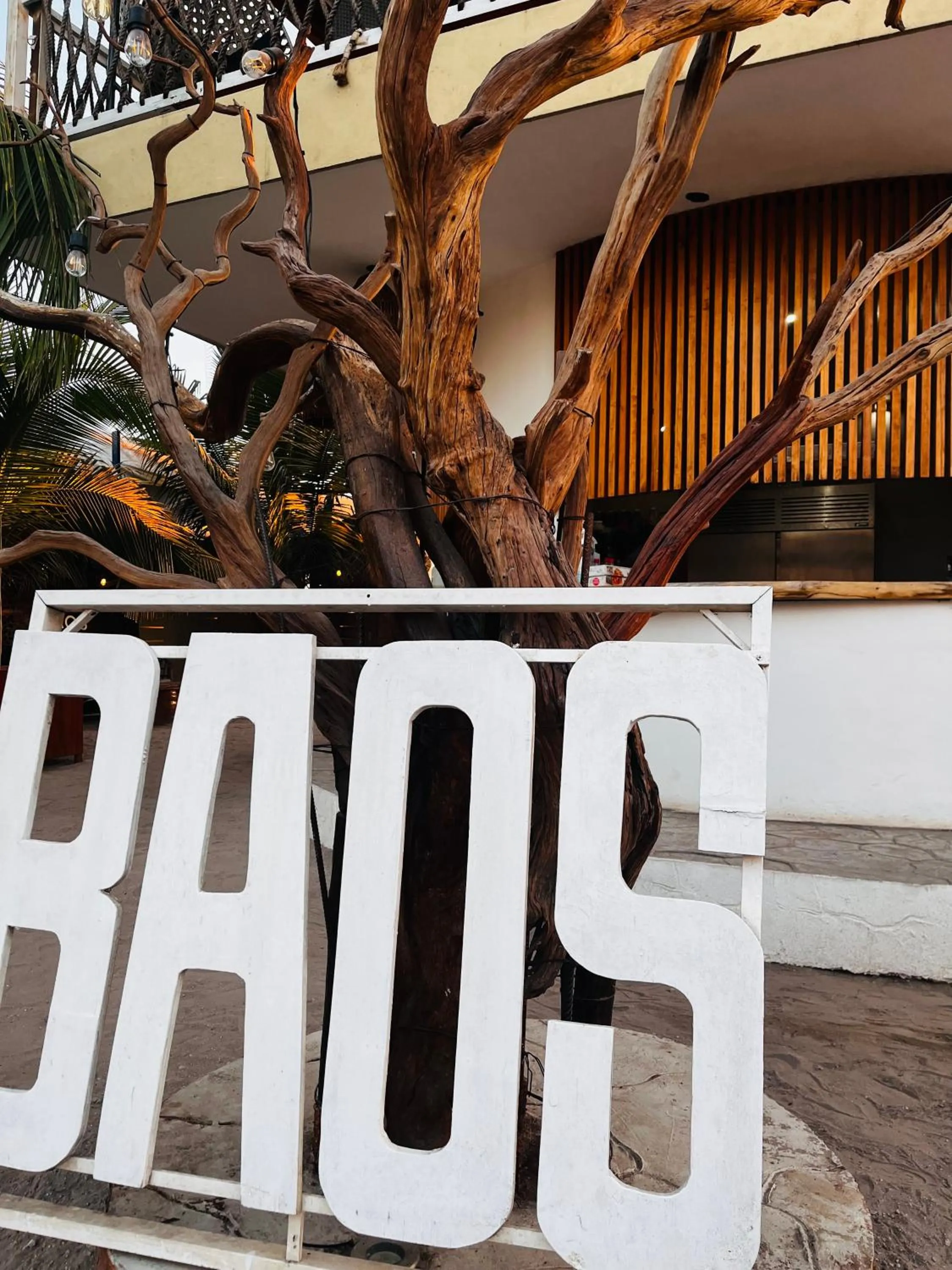 Logo/Certificate/Sign in BAOS