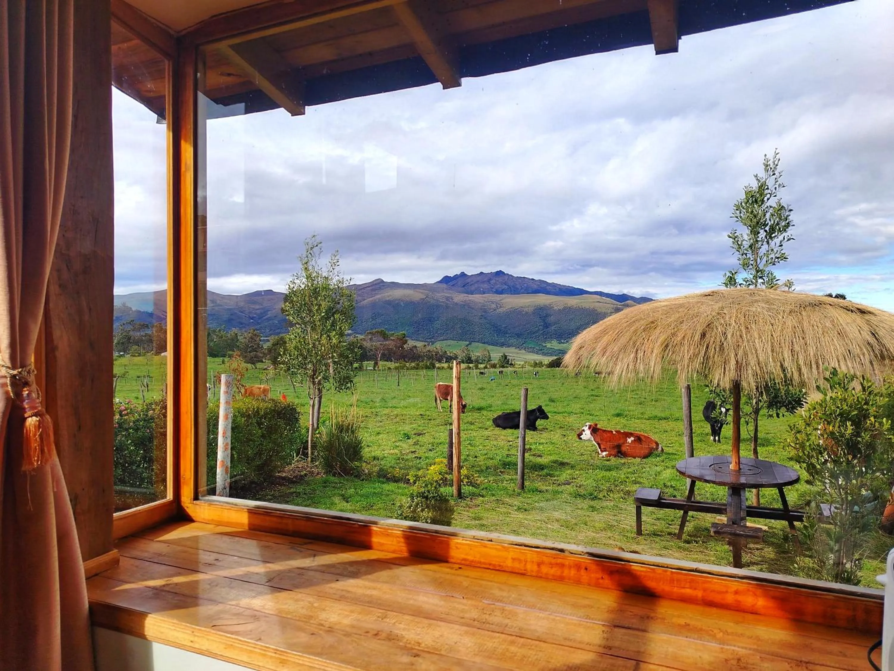 Ruta de los volcanes