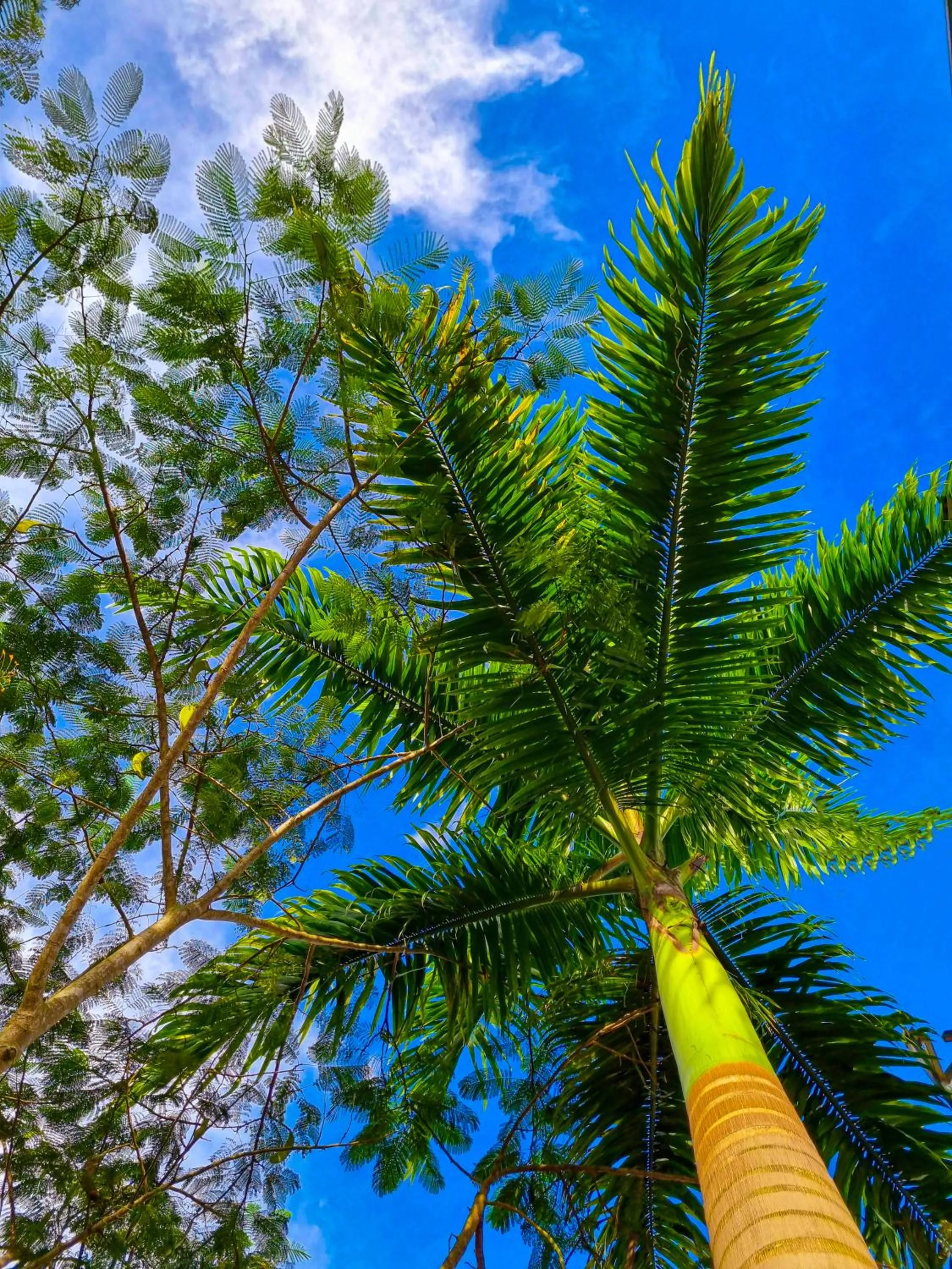 Garden in Country Club Eco Casajardin