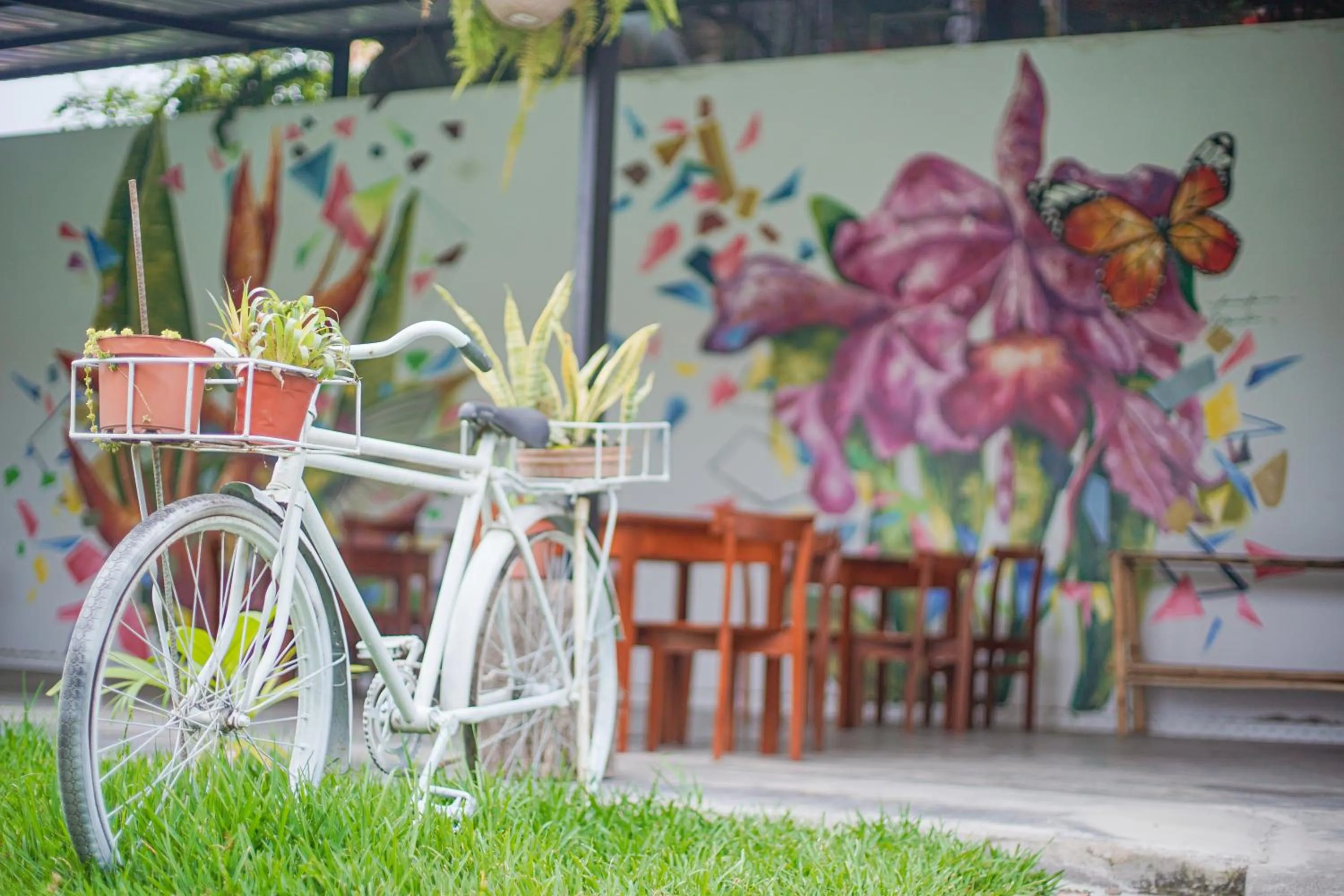 Restaurant/places to eat in Country Club Eco Casajardin