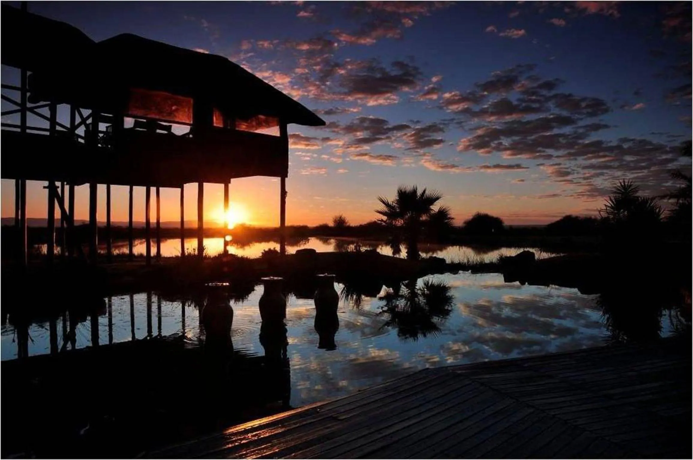 Natural landscape in Ditholo Game Lodge Bela Bela