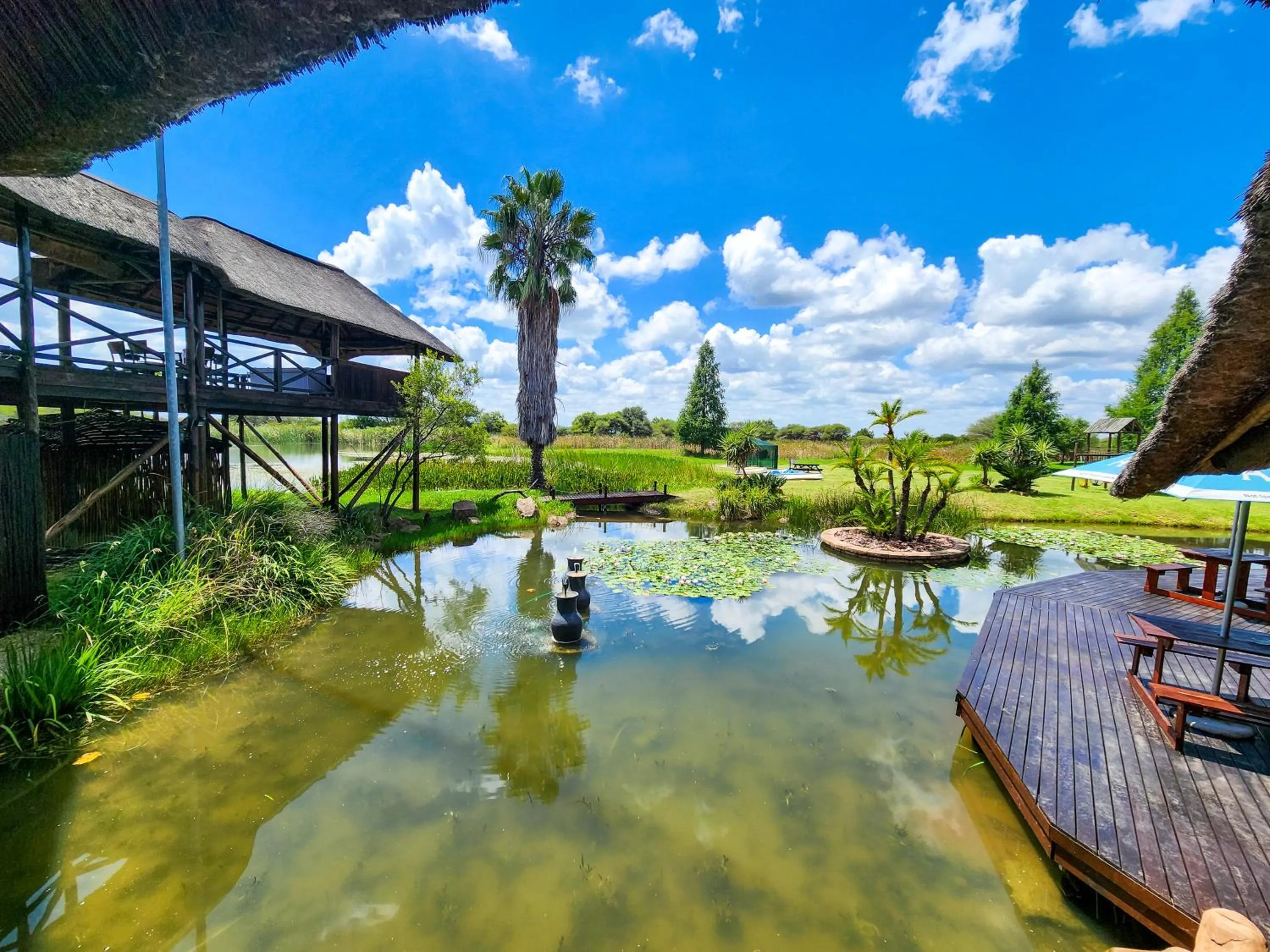 Ditholo Game Lodge Bela Bela