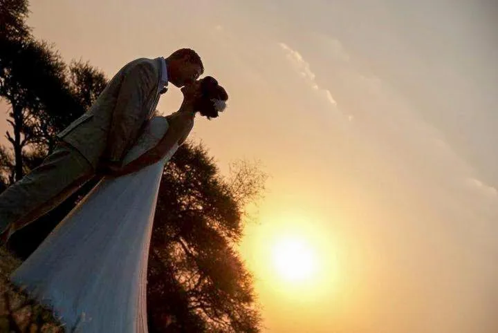 Ditholo Game Lodge Bela Bela