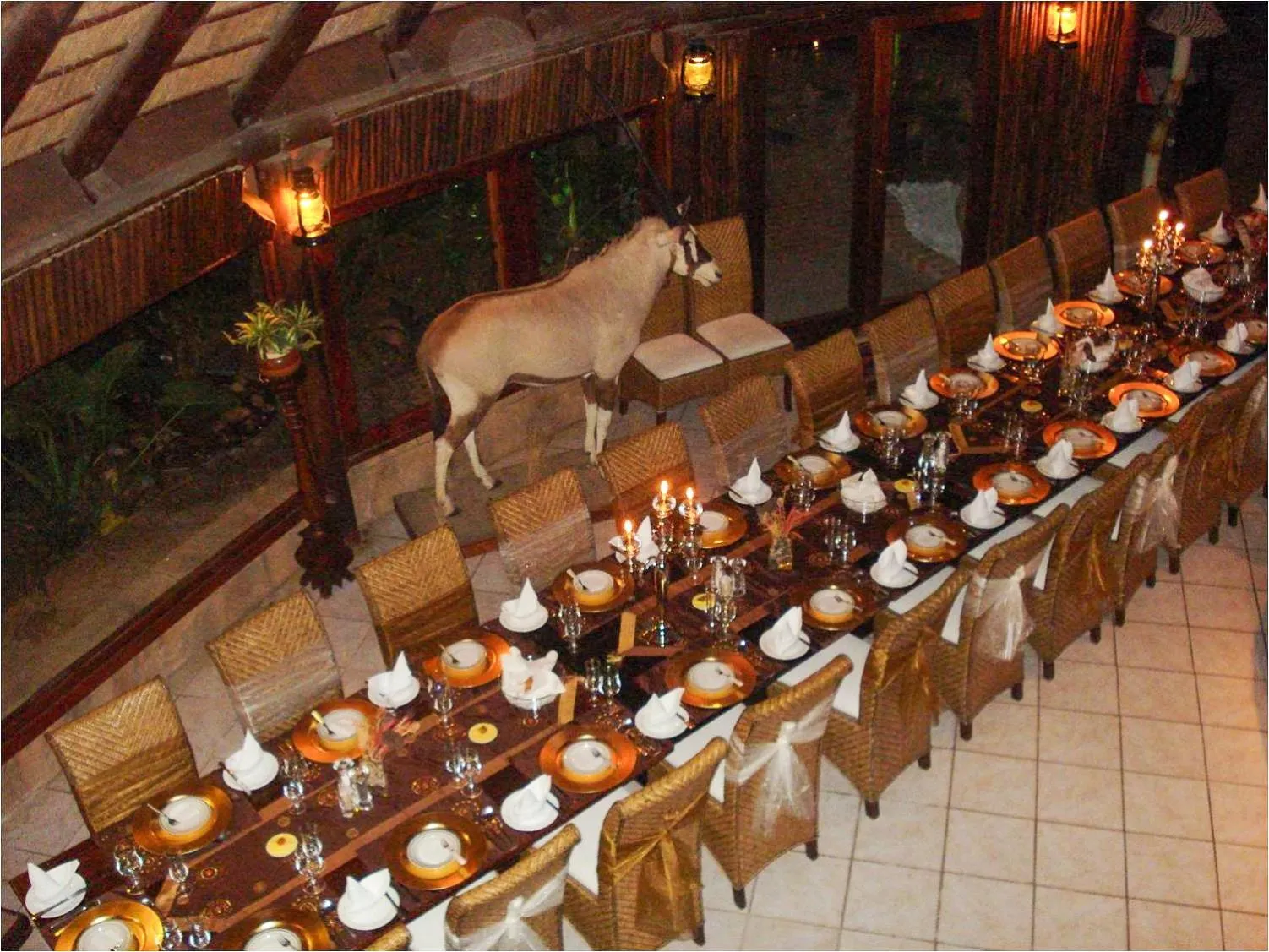 Ditholo Game Lodge Bela Bela