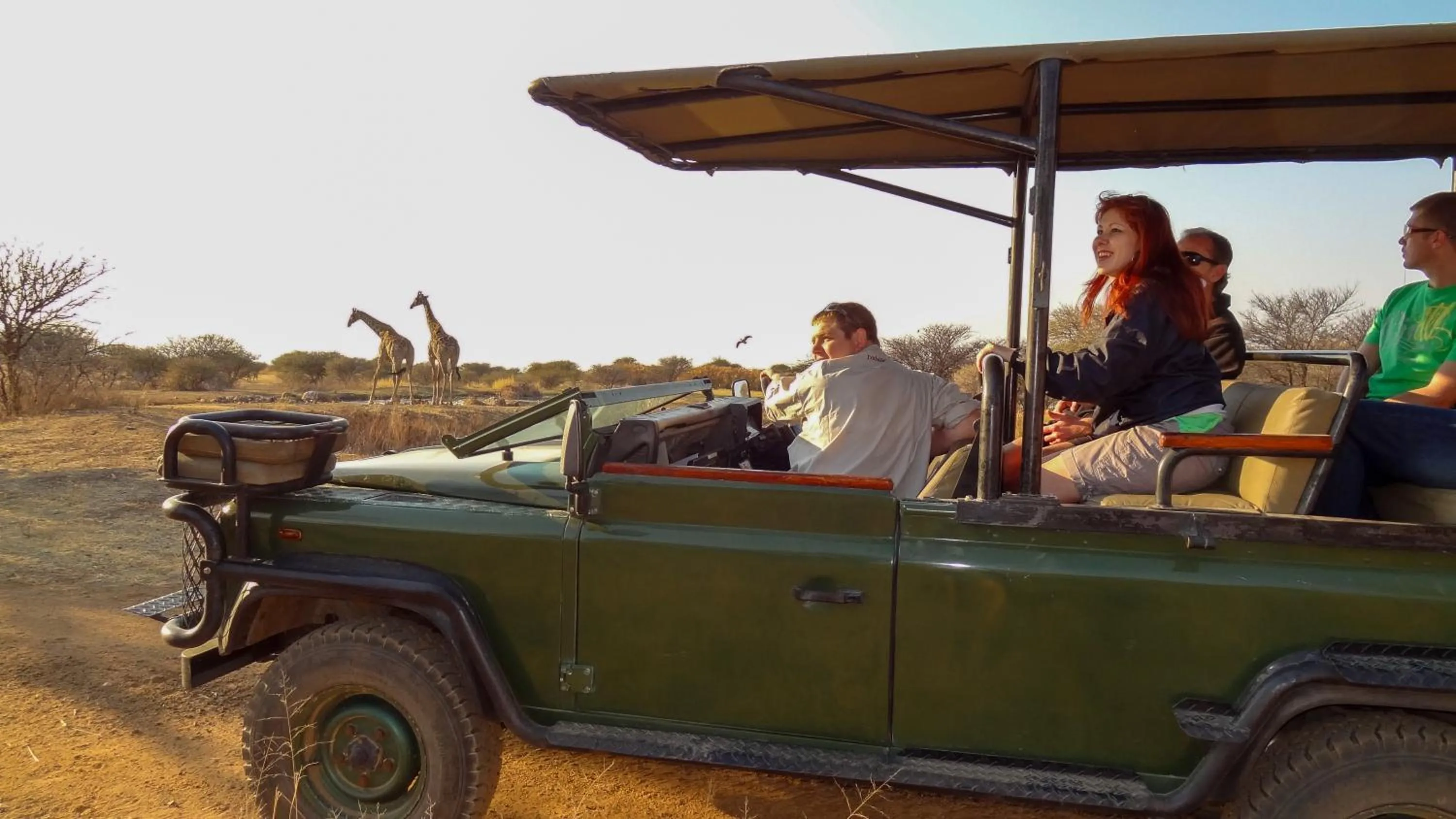 Ditholo Game Lodge Bela Bela