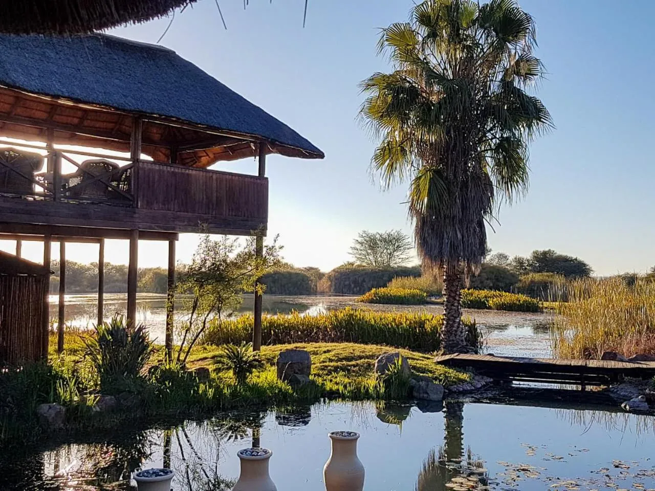 Ditholo Game Lodge Bela Bela