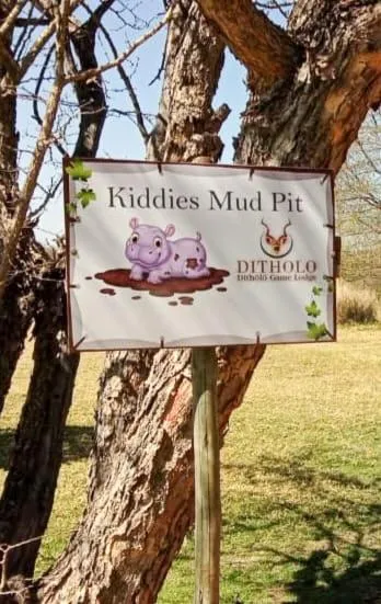 Ditholo Game Lodge Bela Bela