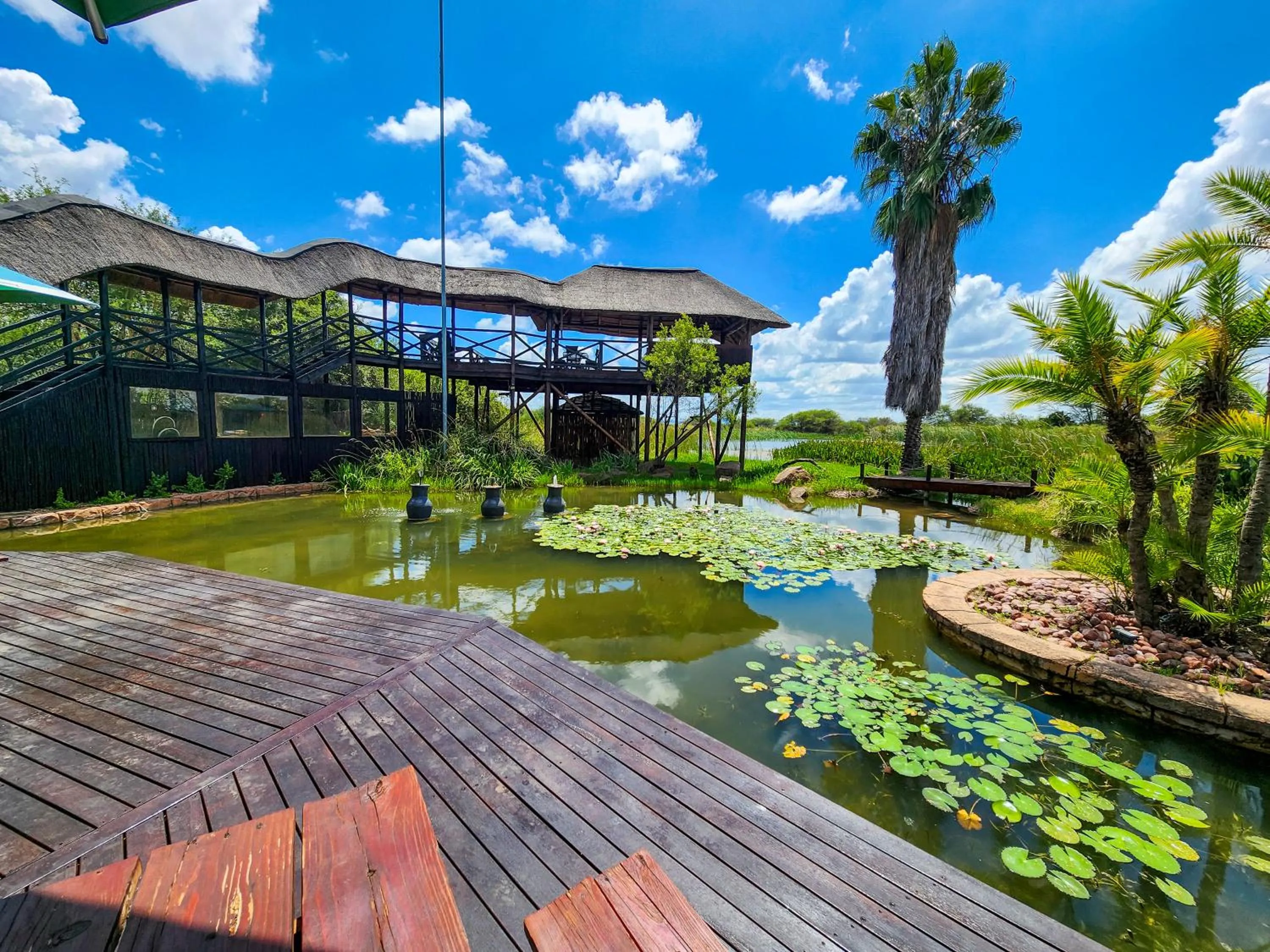 Ditholo Game Lodge Bela Bela