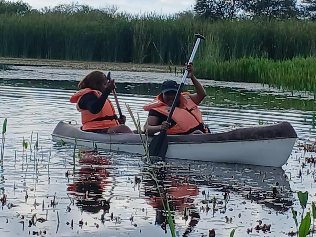 Ditholo Game Lodge Bela Bela