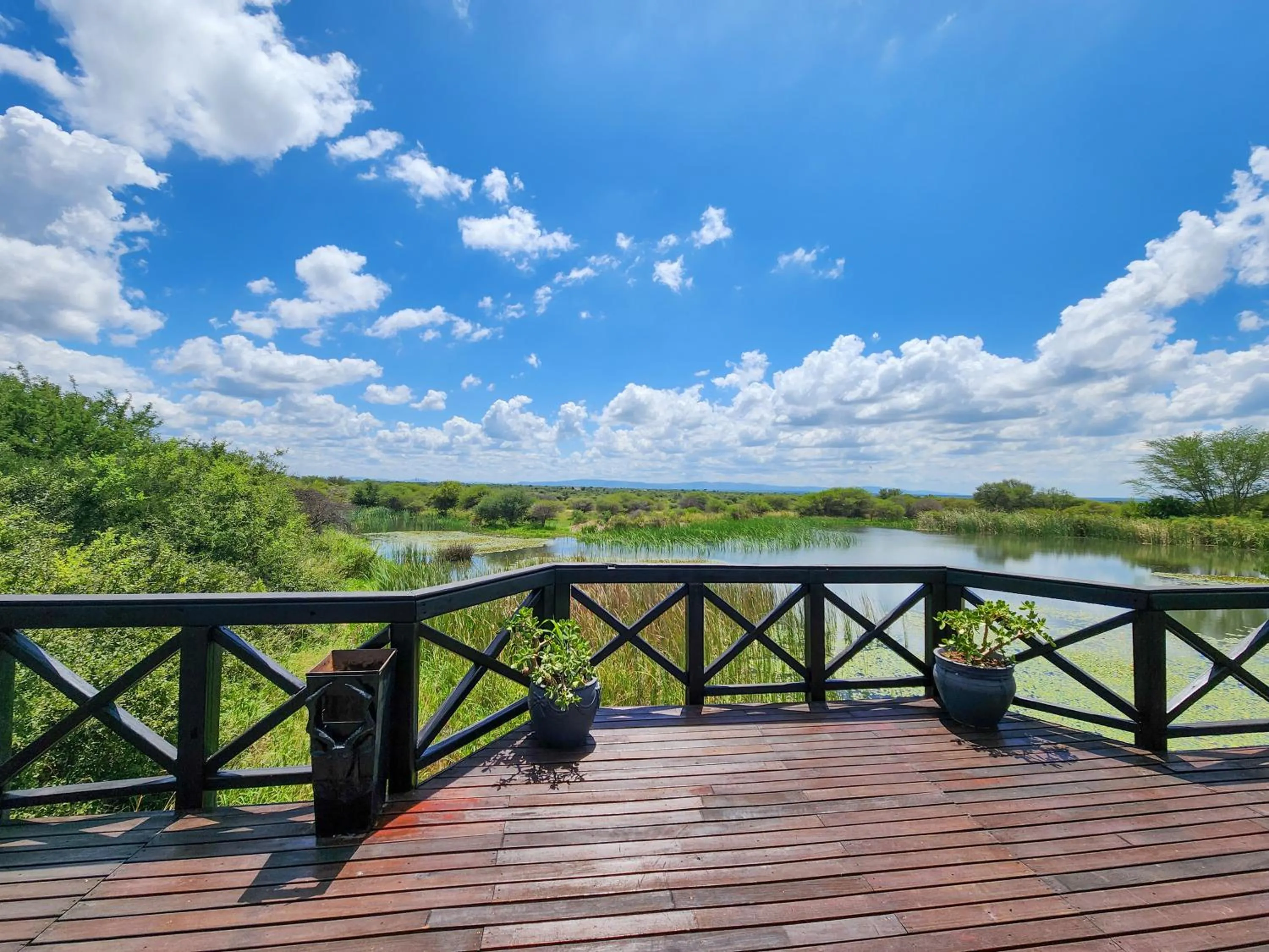 Spring in Ditholo Game Lodge Bela Bela