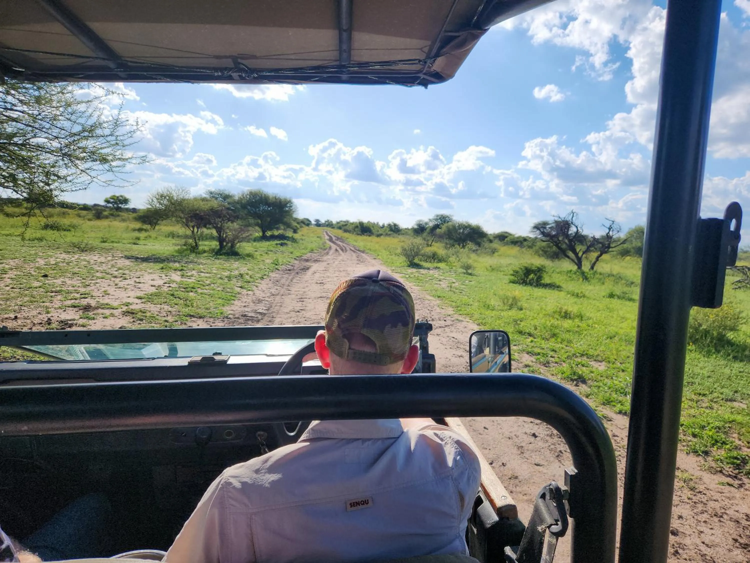 Ditholo Game Lodge Bela Bela