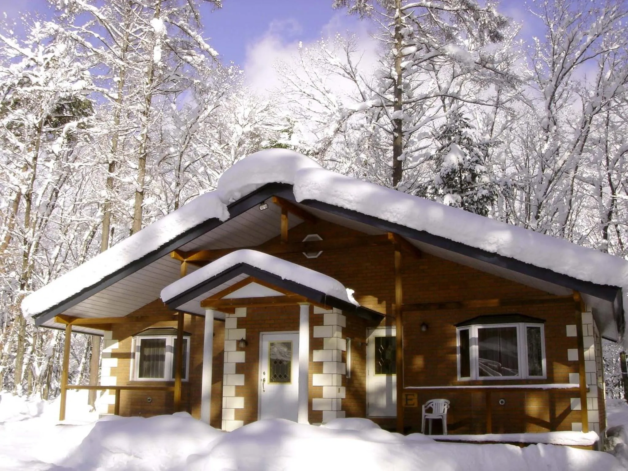 Property building in Log Cottage Epoch