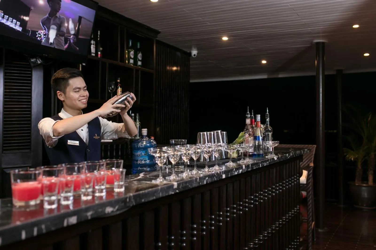 Lounge or bar in Genesis Luxury Regal Cruise by Premier Group