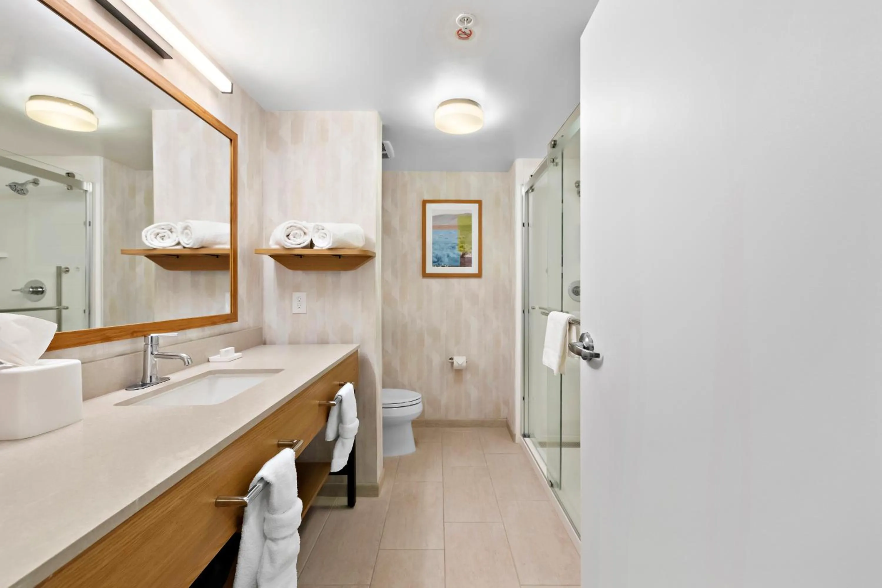 Bathroom in Hampton Inn & Suites Lancaster