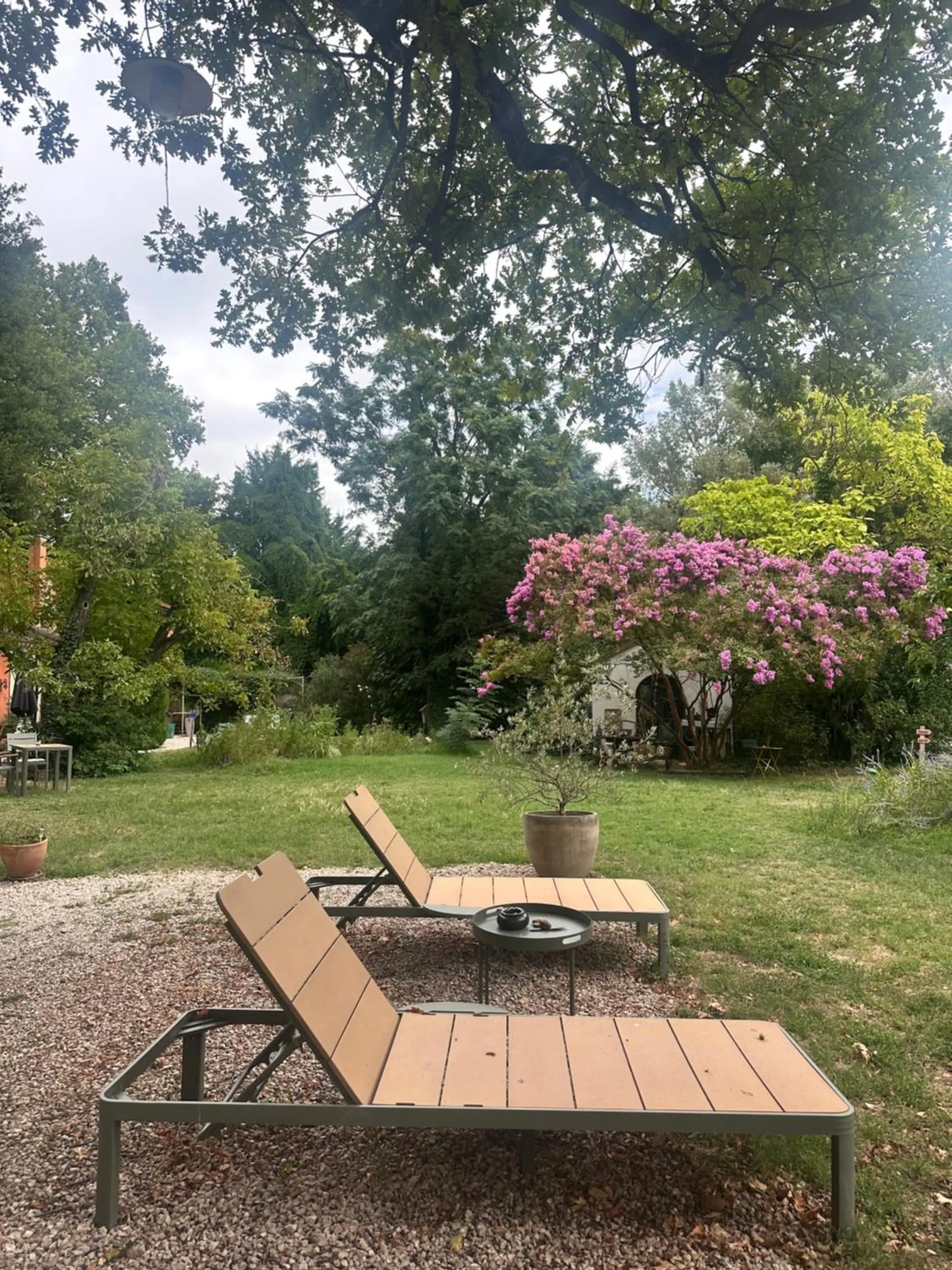 Garden in Le Pavillon Vert - B&B
