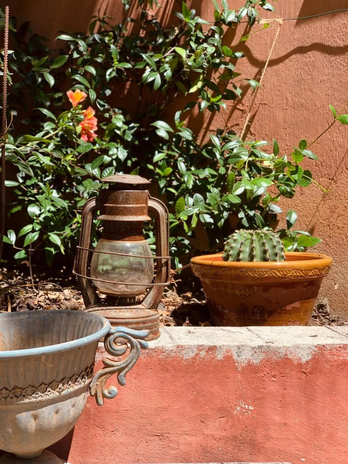 Garden in Le Pavillon Vert - B&B