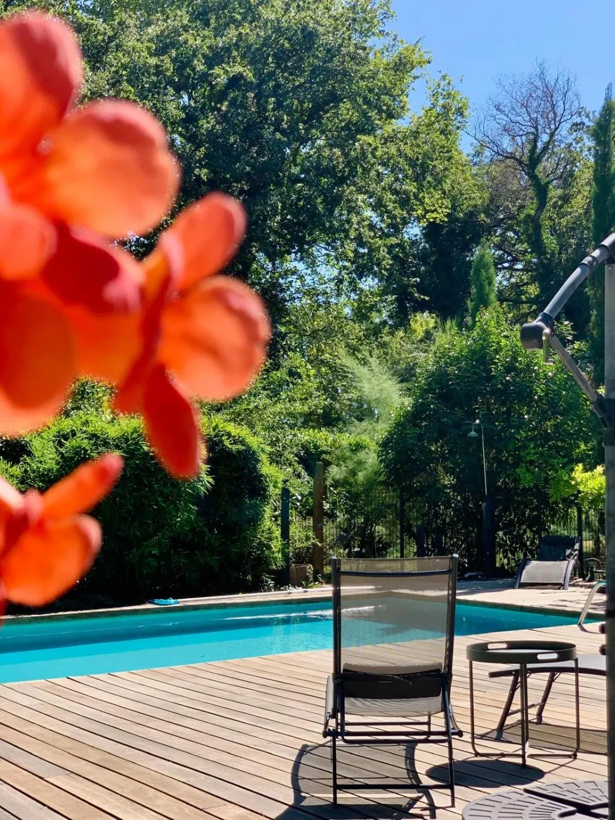 Swimming pool in Le Pavillon Vert - B&B