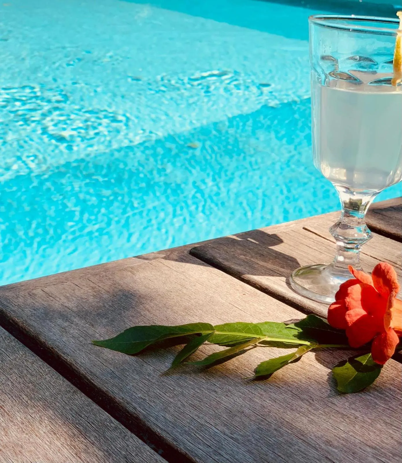 Swimming pool in Le Pavillon Vert - B&B